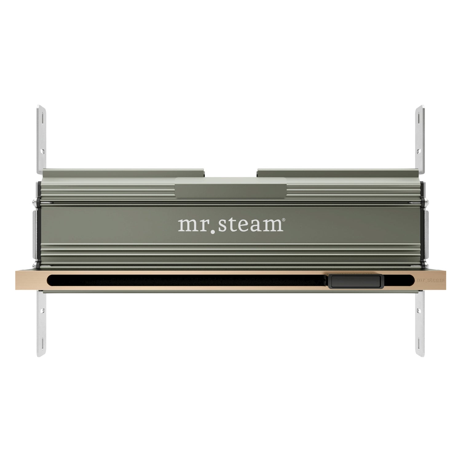 Mr. Steam Linear 16 in. W. Steamhead with AromaTherapy Reservoir