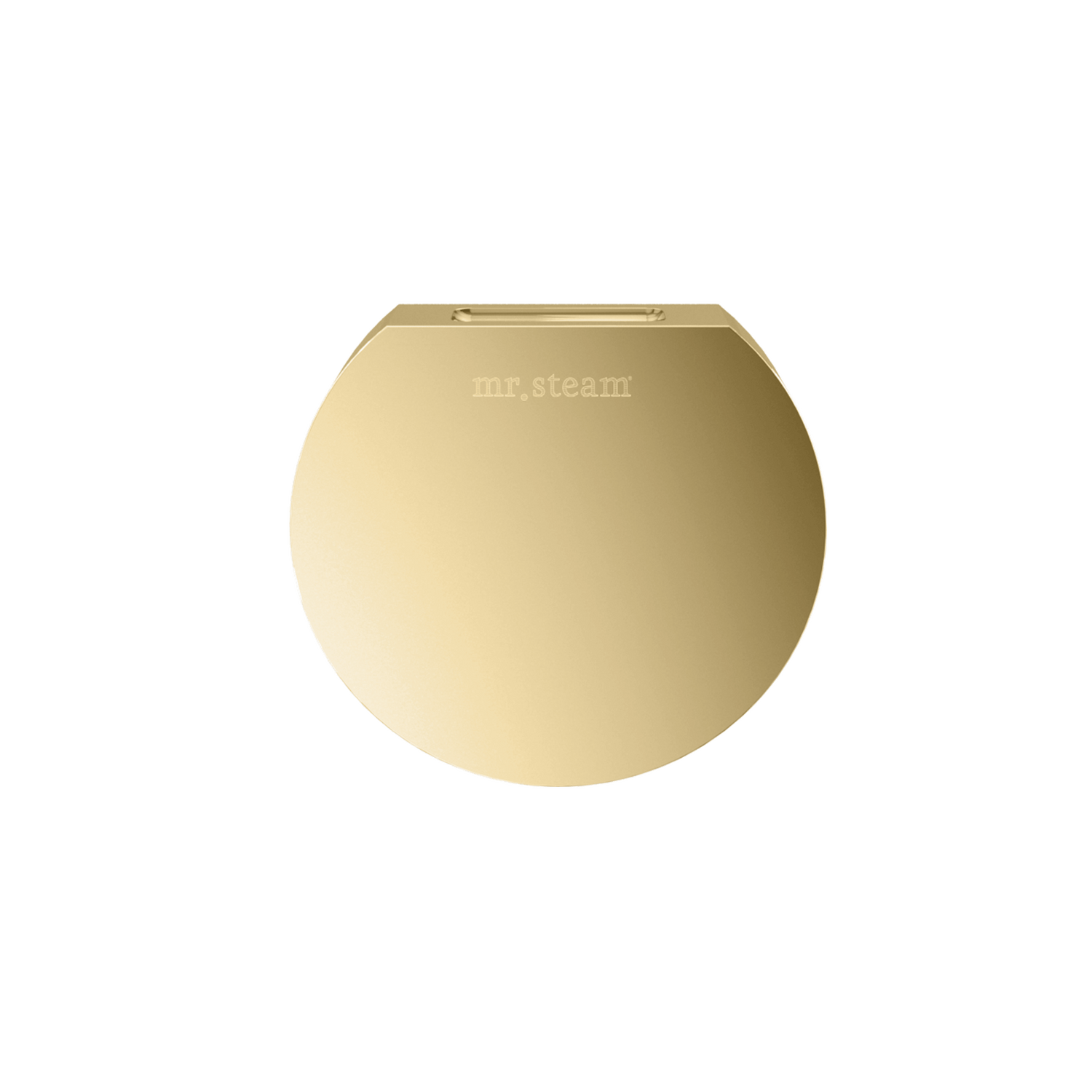 Mr. Steam Designer Round 3 in. Steamhead with AromaTherapy Reservoir