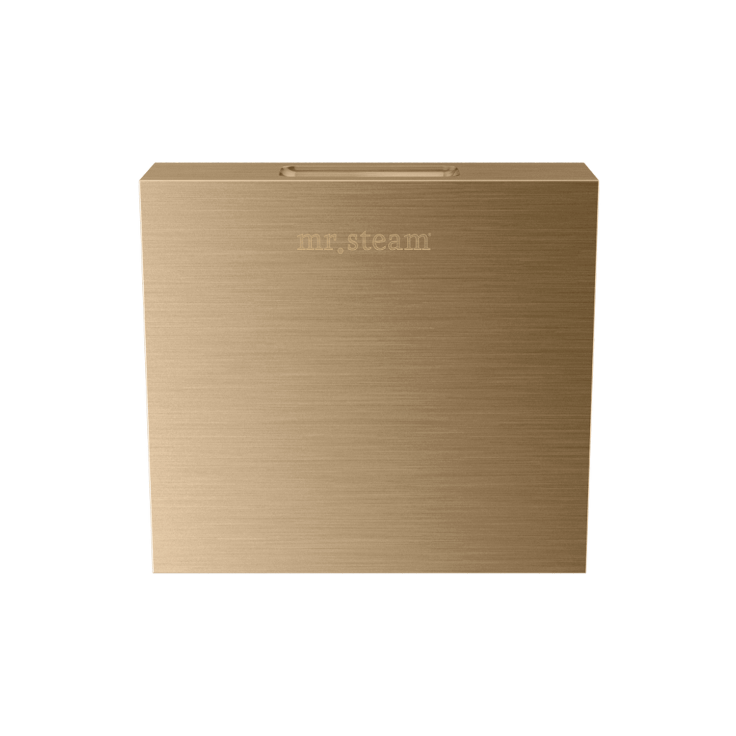 Mr. Steam Designer Square 3 in. Steamhead with AromaTherapy Reservoir