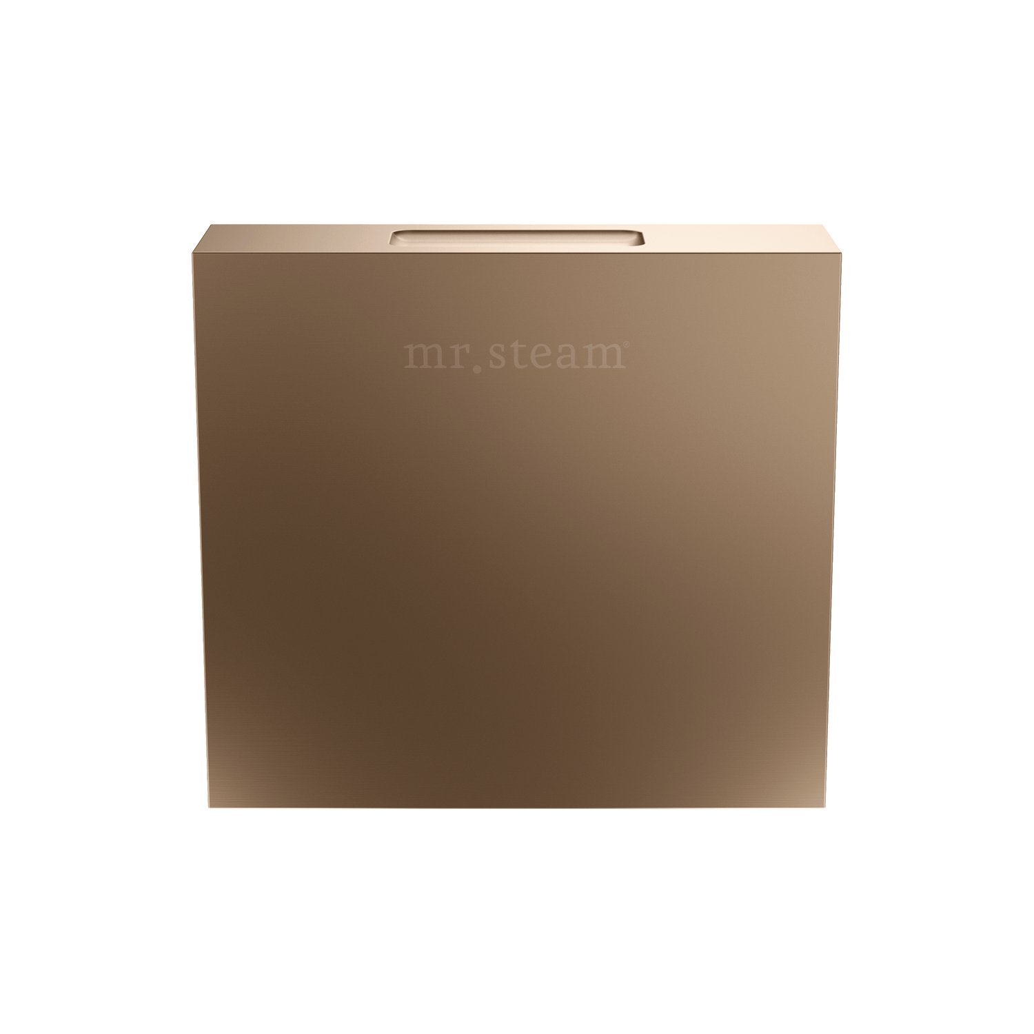 Mr. Steam Designer Square 3 in. Steamhead with AromaTherapy Reservoir