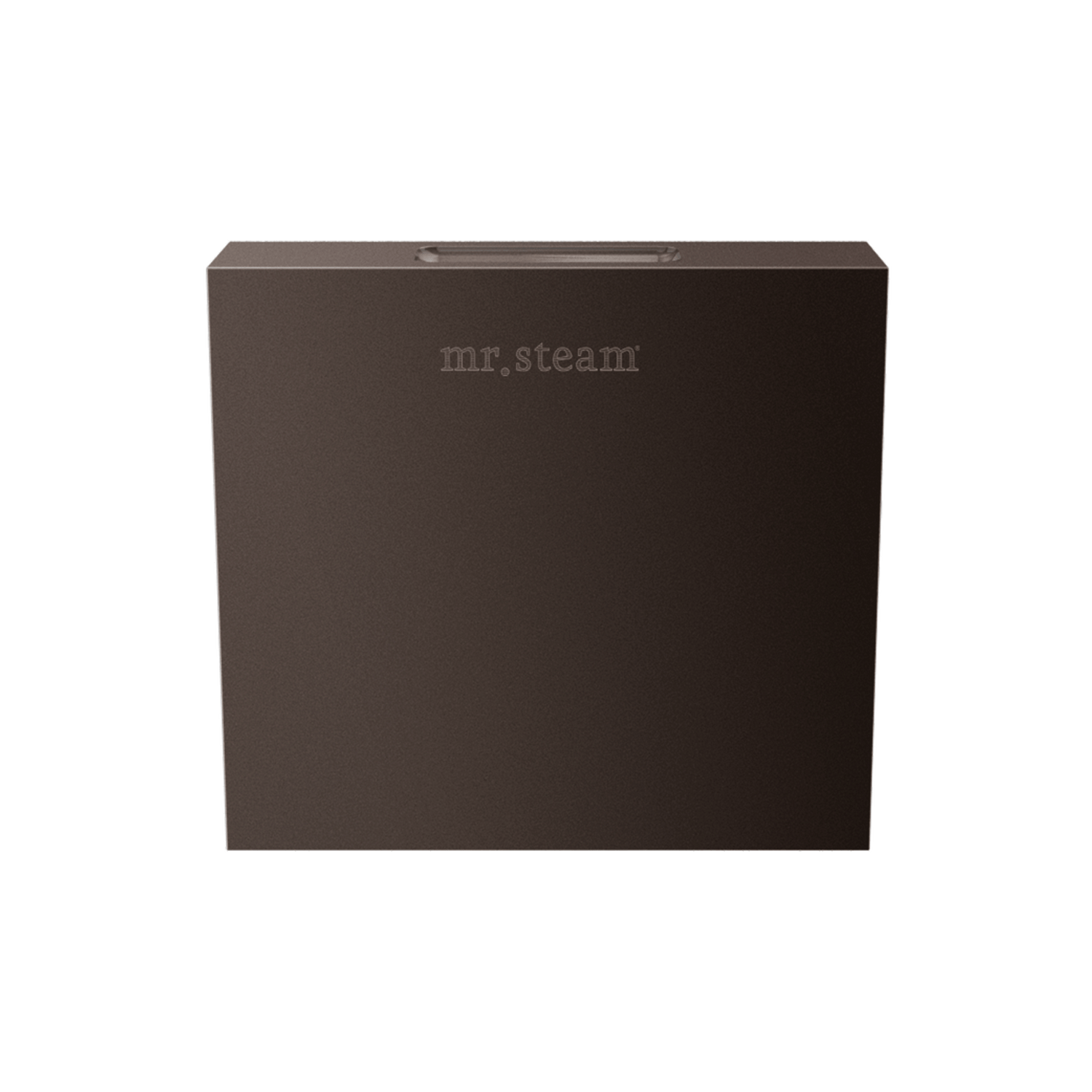 Mr. Steam Designer Square 3 in. Steamhead with AromaTherapy Reservoir
