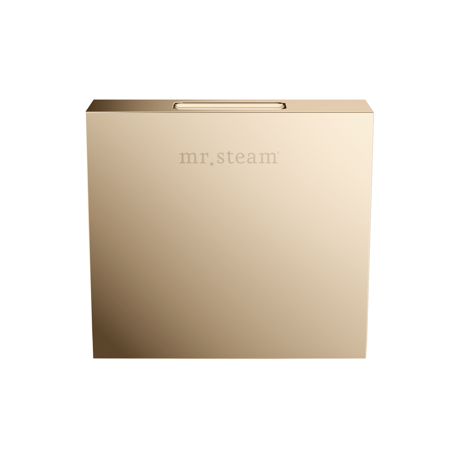 Mr. Steam Designer Square 3 in. Steamhead with AromaTherapy Reservoir