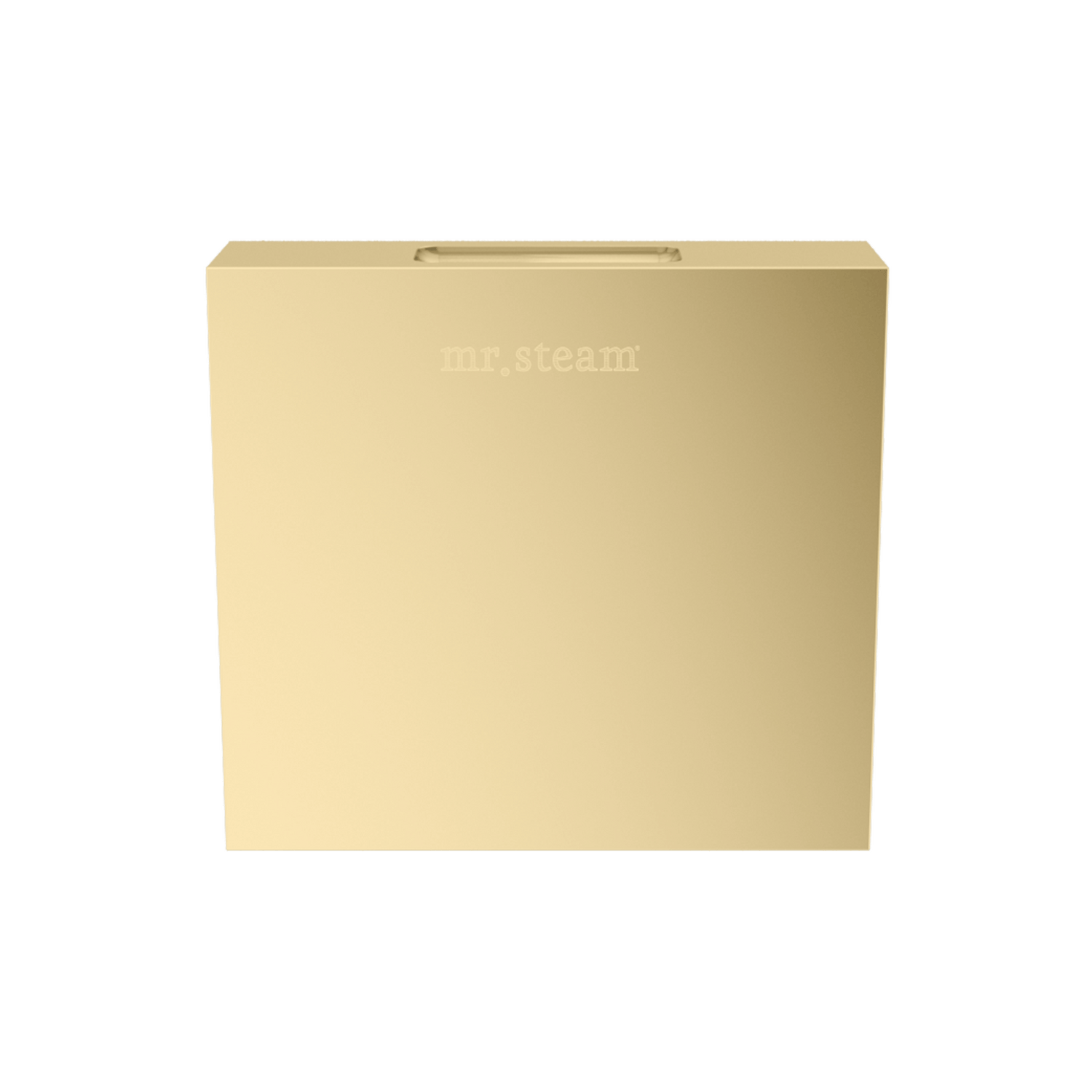 Mr. Steam Designer Square 3 in. Steamhead with AromaTherapy Reservoir
