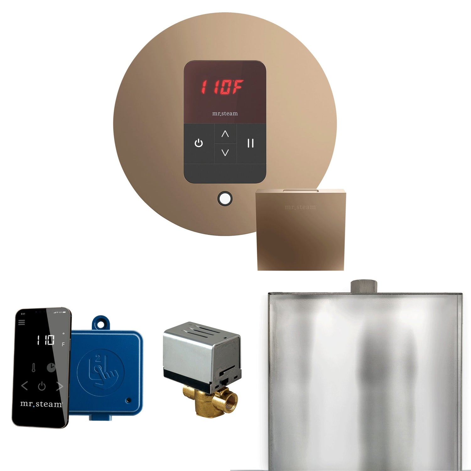 Mr. Steam Basic Butler Steam Shower Control Package with iTempo Control and Steamhead