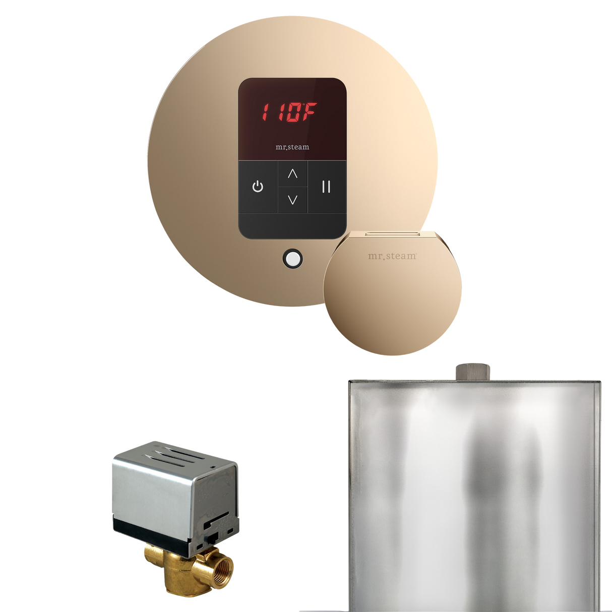 Mr. Steam Basic Butler Steam Shower Control Package with iTempo Control and Steamhead