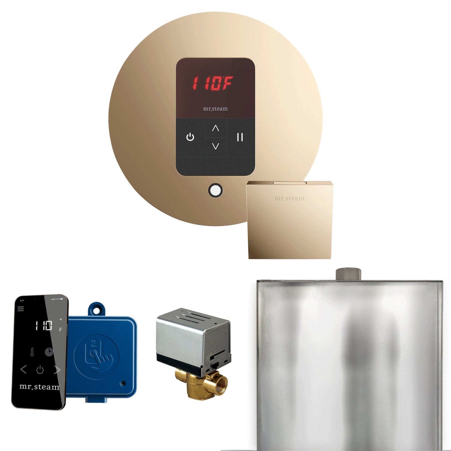 Mr. Steam Basic Butler Steam Shower Control Package with iTempo Control and Steamhead