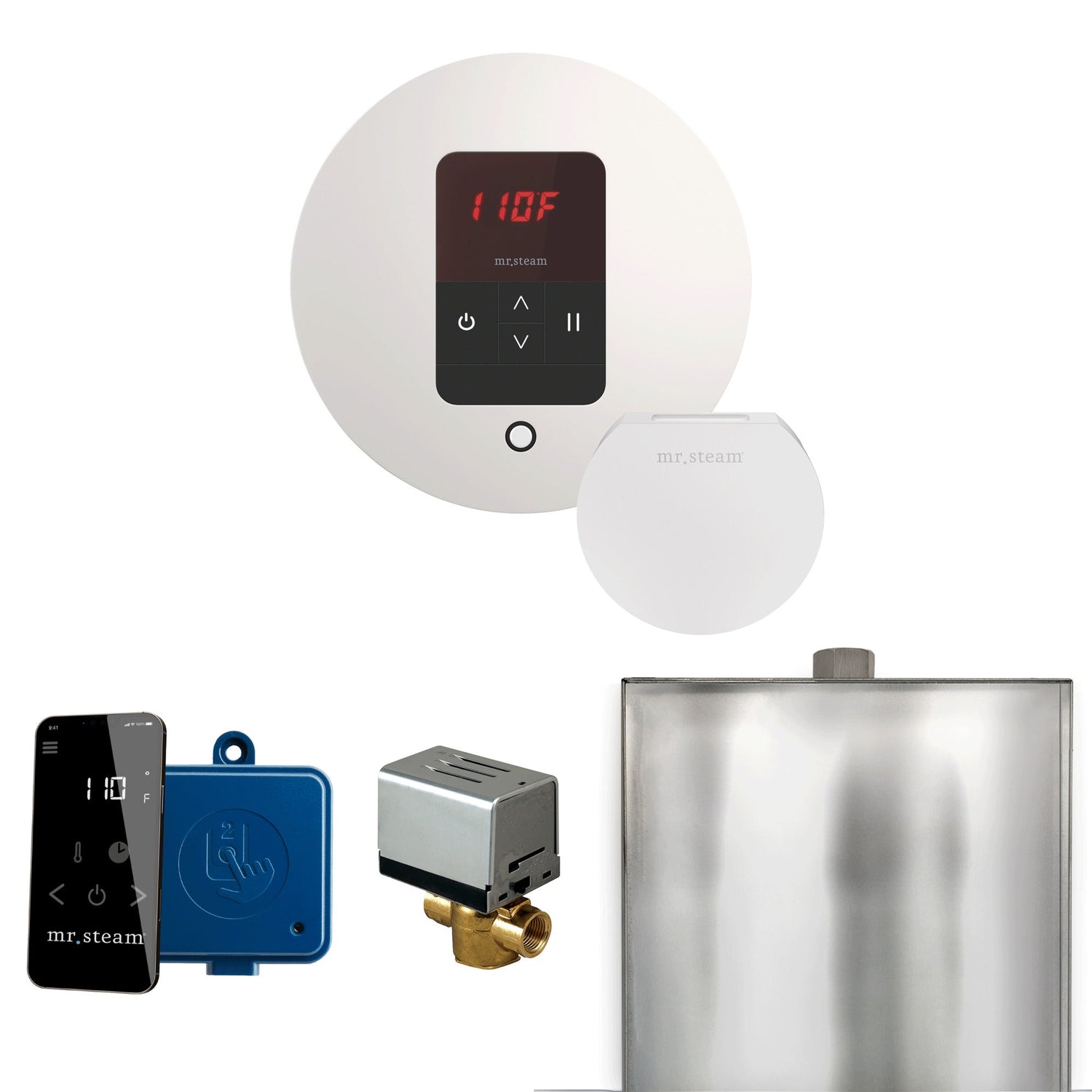 Mr. Steam Basic Butler Steam Shower Control Package with iTempo Control and Steamhead