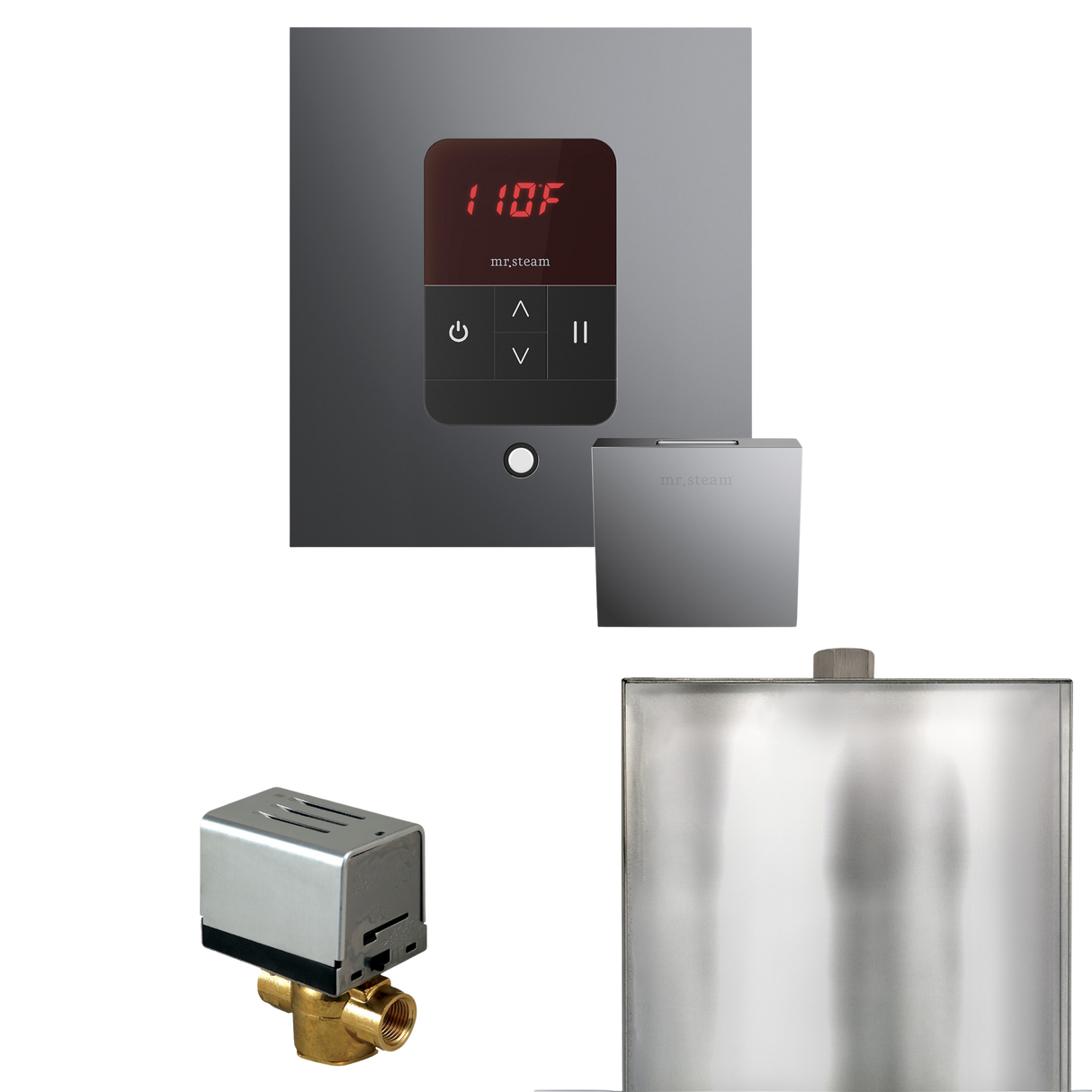 Mr. Steam Basic Butler Steam Shower Control Package with iTempo Control and Steamhead