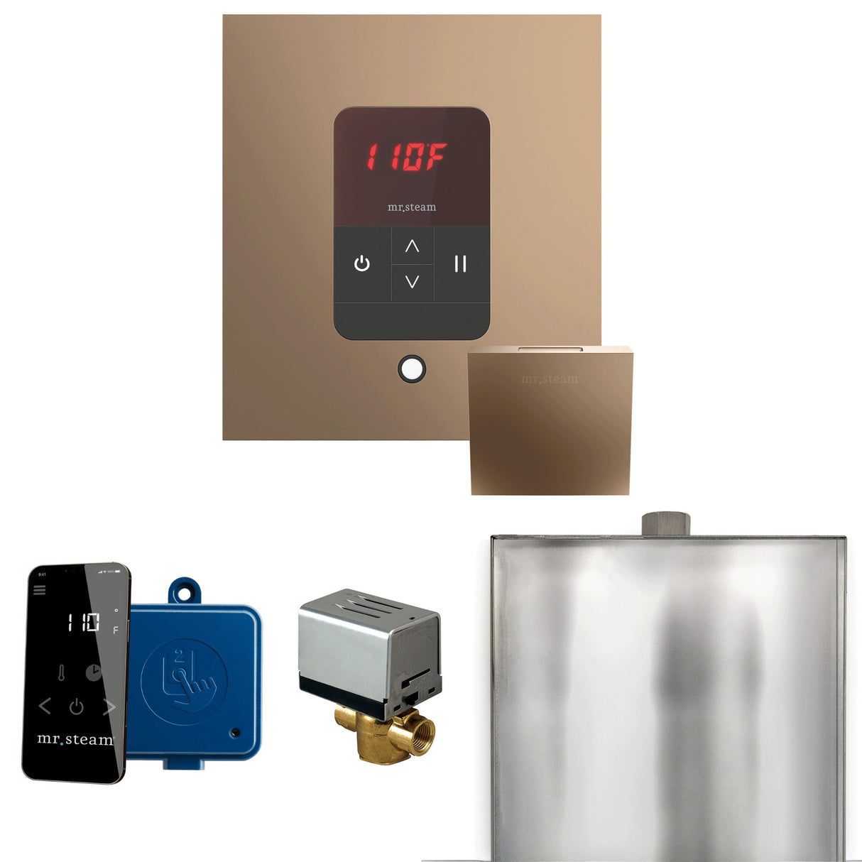 Mr. Steam Basic Butler Steam Shower Control Package with iTempo Control and Steamhead