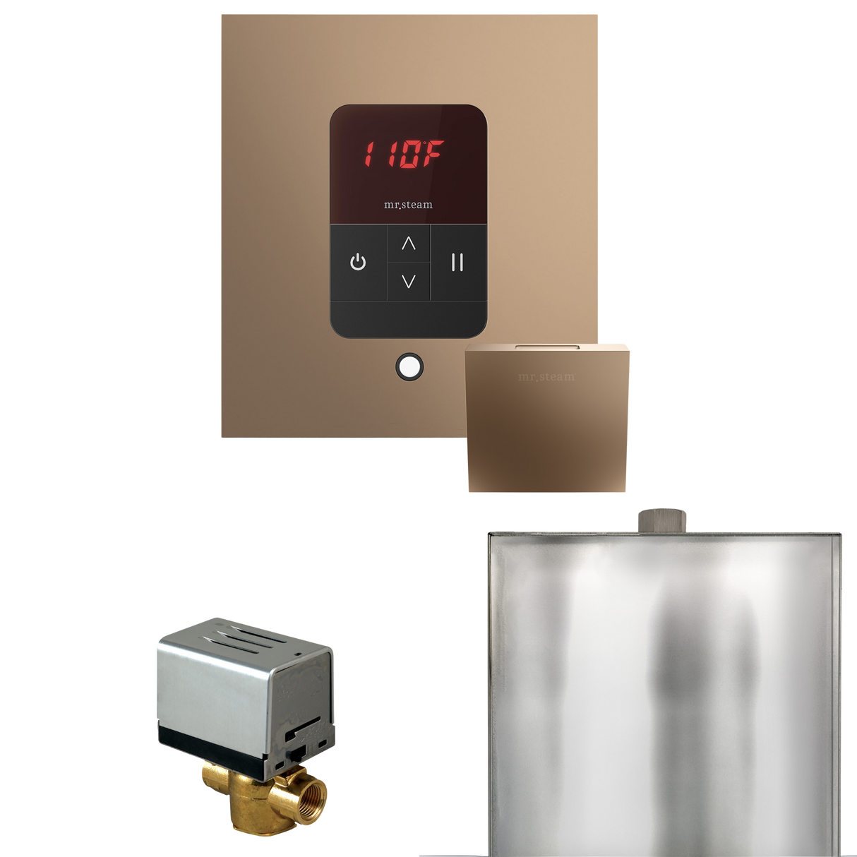 Mr. Steam Basic Butler Steam Shower Control Package with iTempo Control and Steamhead