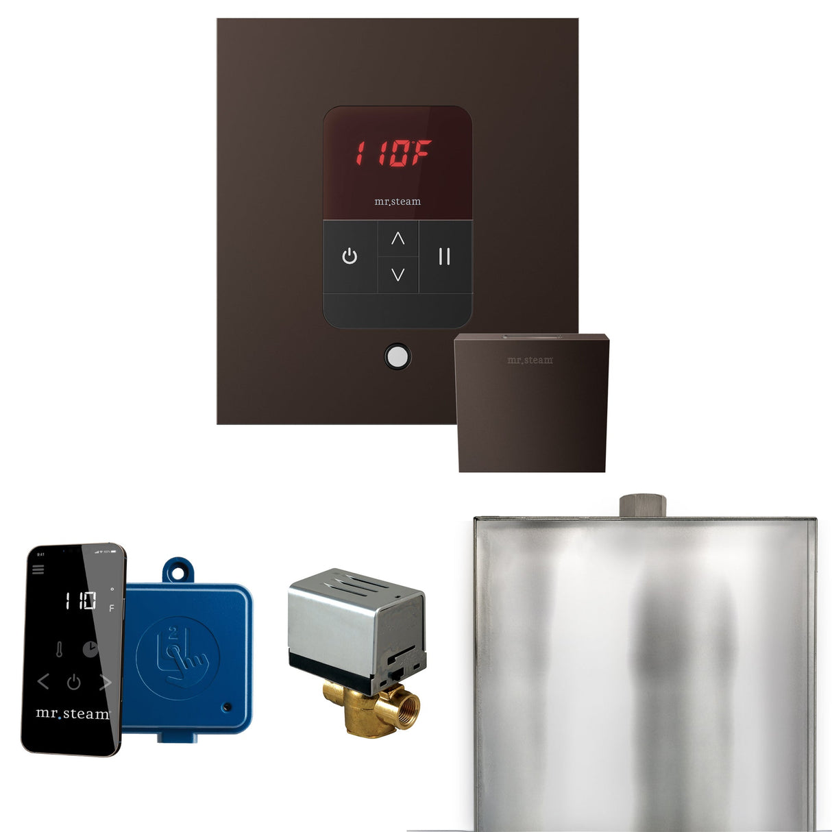 Mr. Steam Basic Butler Steam Shower Control Package with iTempo Control and Steamhead