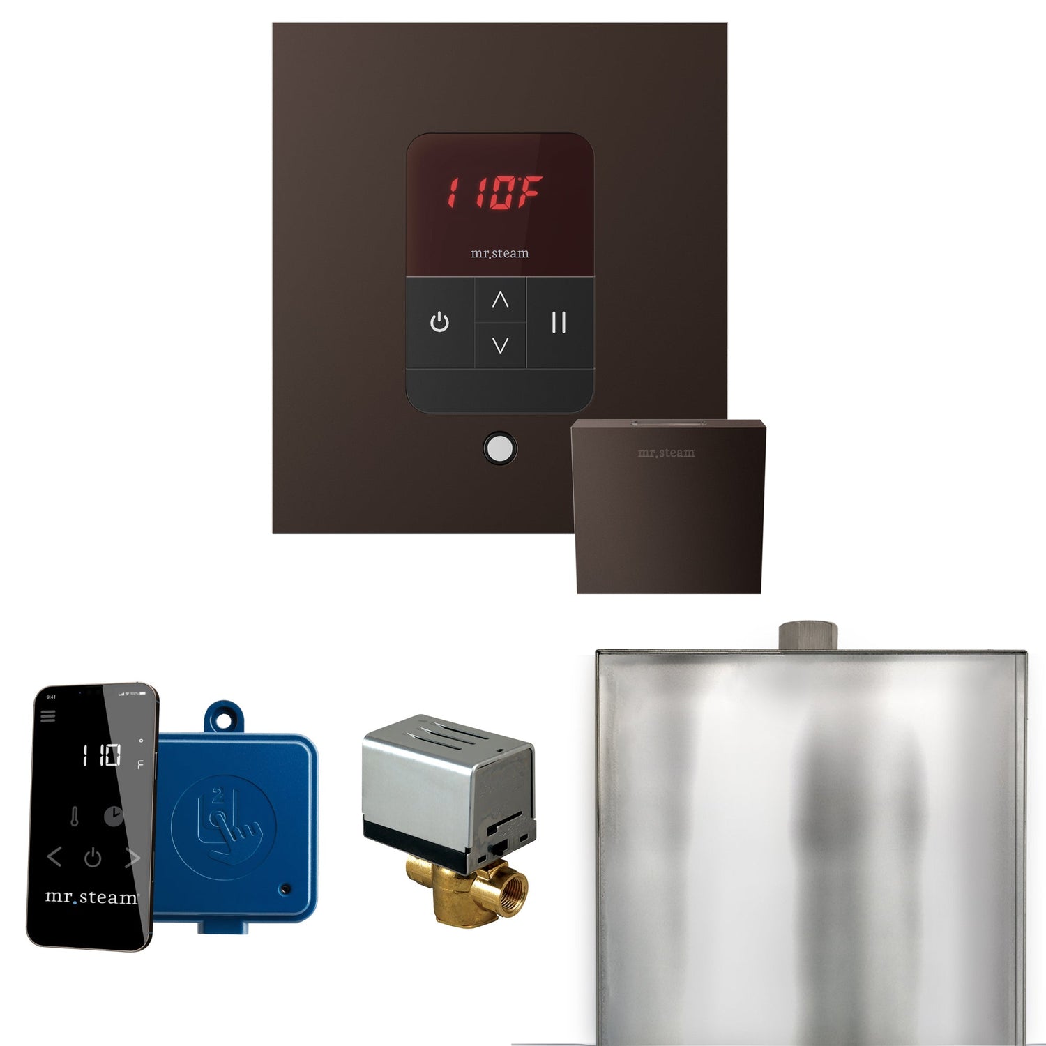 Mr. Steam Basic Butler Steam Shower Control Package with iTempo Control and Steamhead