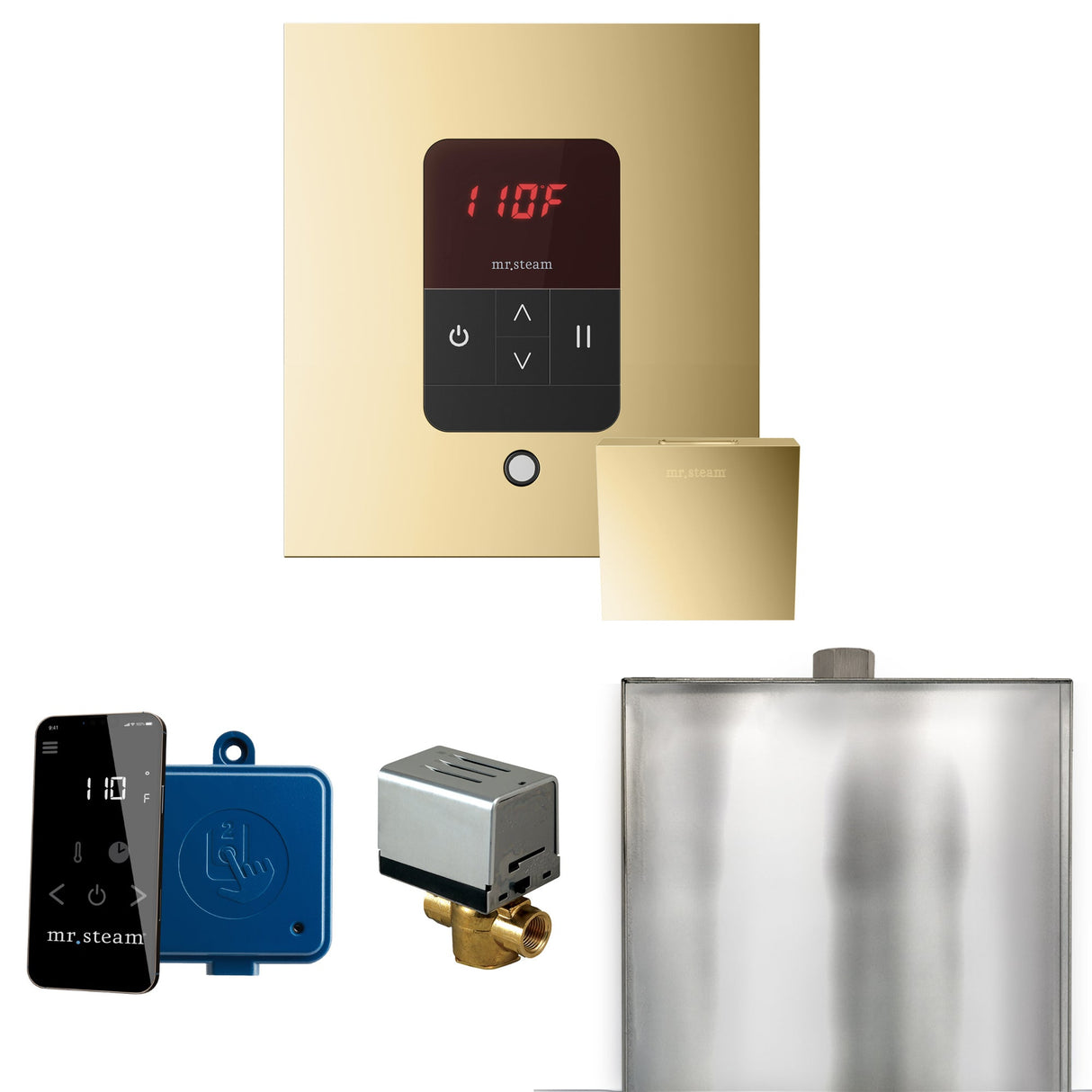 Mr. Steam Basic Butler Steam Shower Control Package with iTempo Control and Steamhead