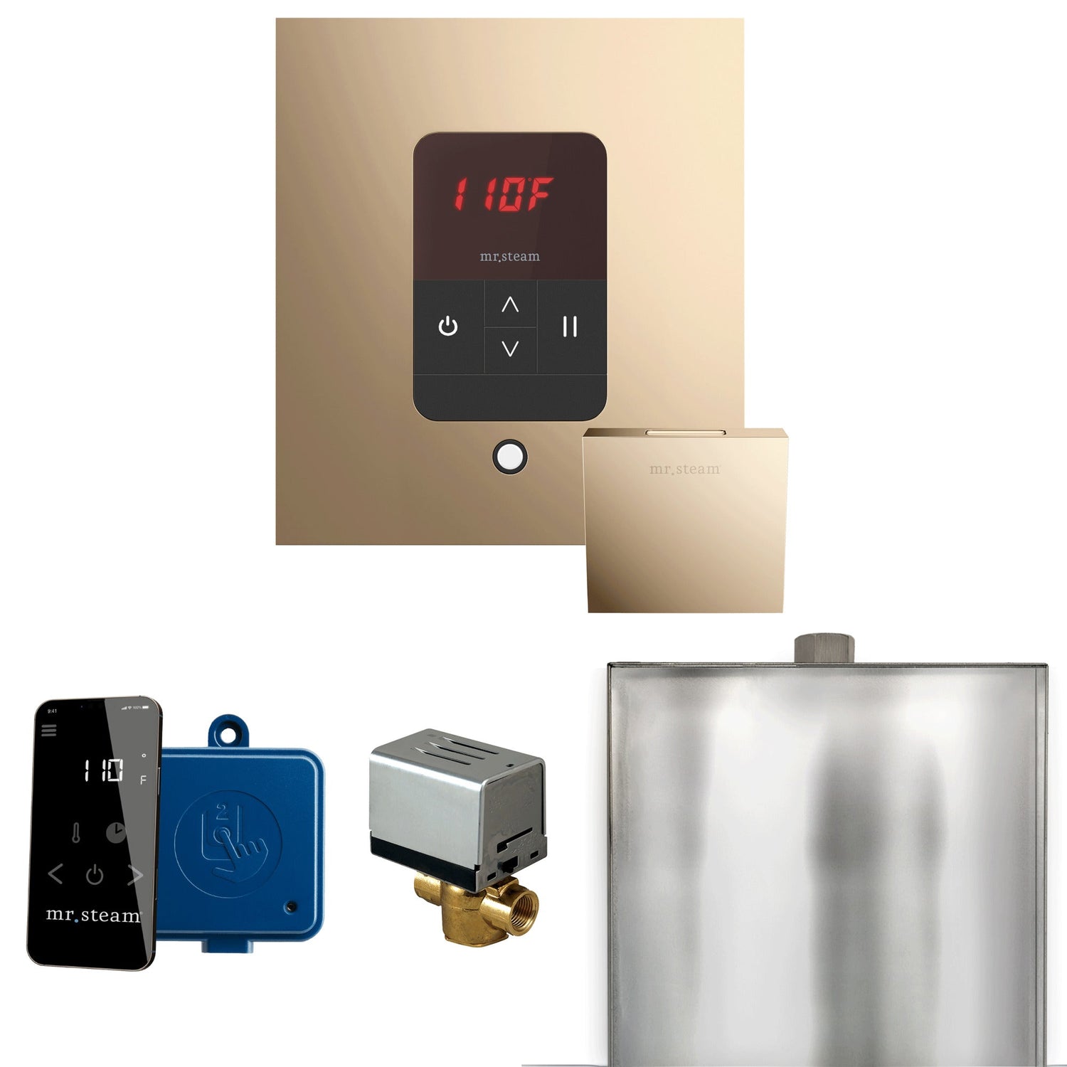 Mr. Steam Basic Butler Steam Shower Control Package with iTempo Control and Steamhead