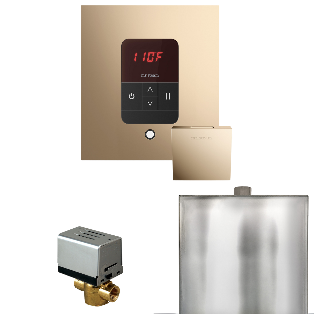 Mr. Steam Basic Butler Steam Shower Control Package with iTempo Control and Steamhead