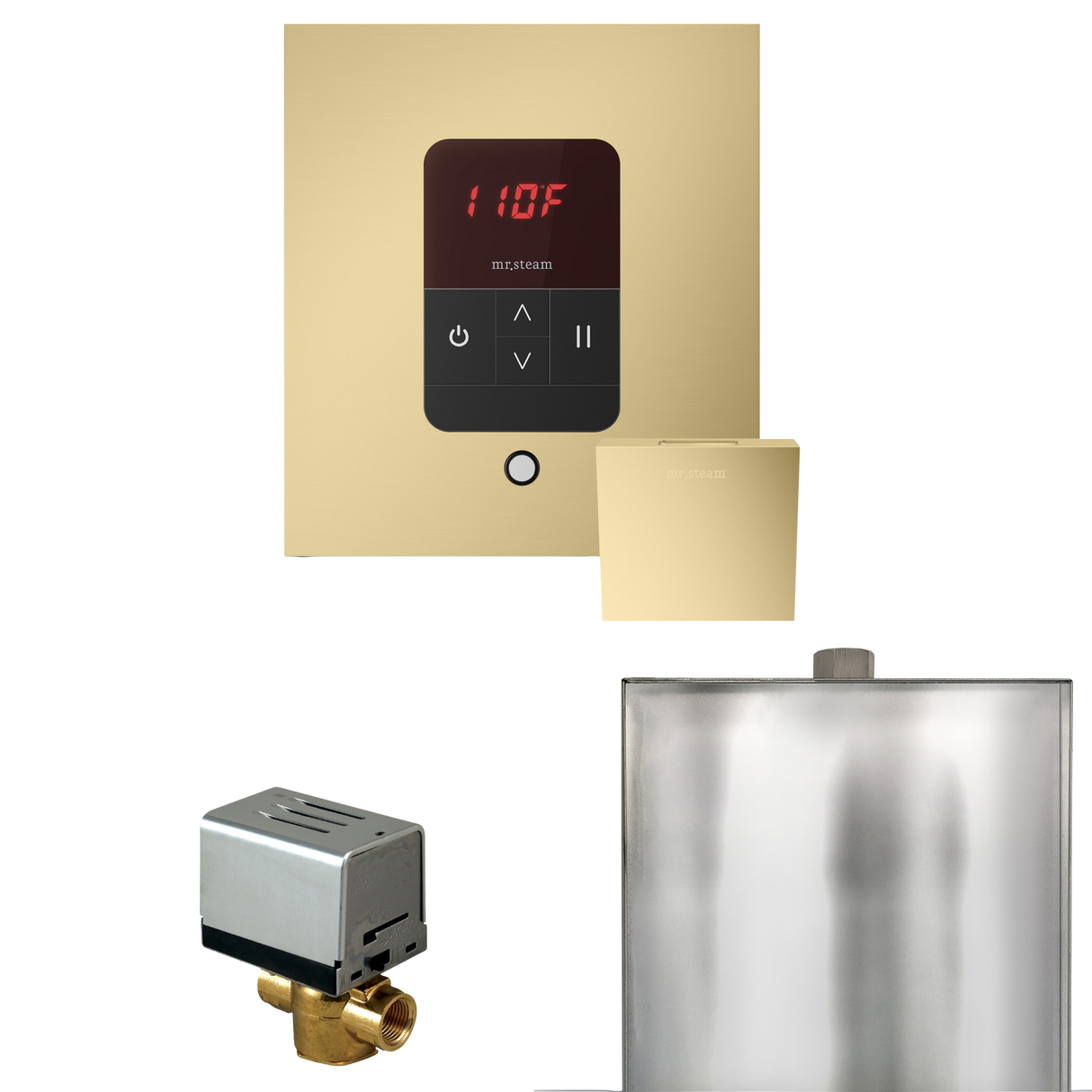 Mr. Steam Basic Butler Steam Shower Control Package with iTempo Control and Steamhead