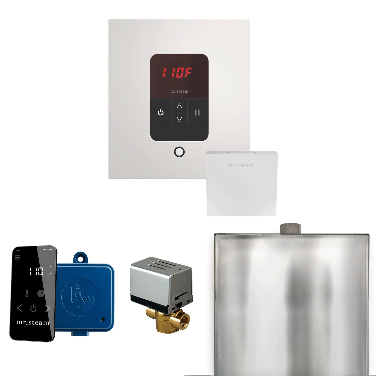 Mr. Steam Basic Butler Steam Shower Control Package with iTempo Control and Steamhead