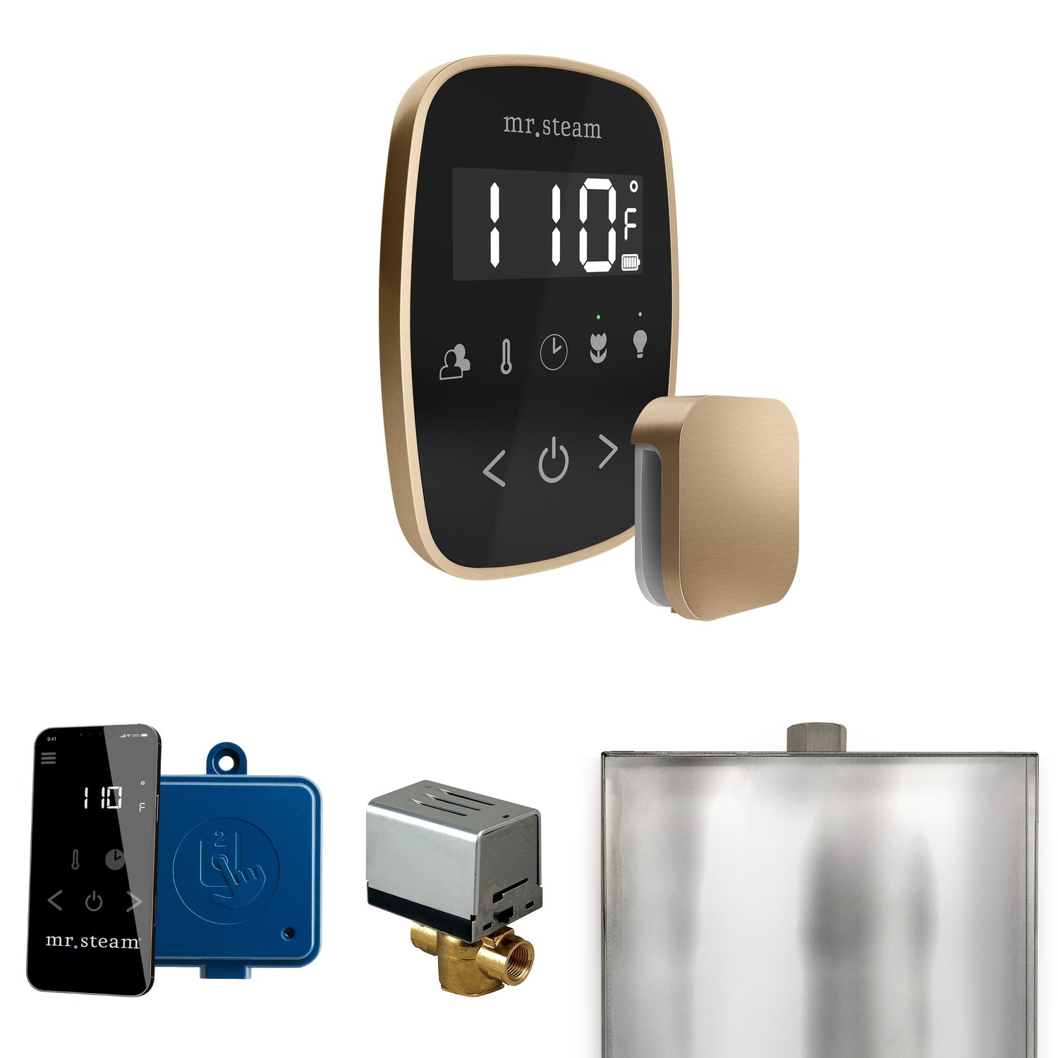 Mr. Steam ButlerFlex Steam Shower Control Package with TempoFlex Control and Steamhead