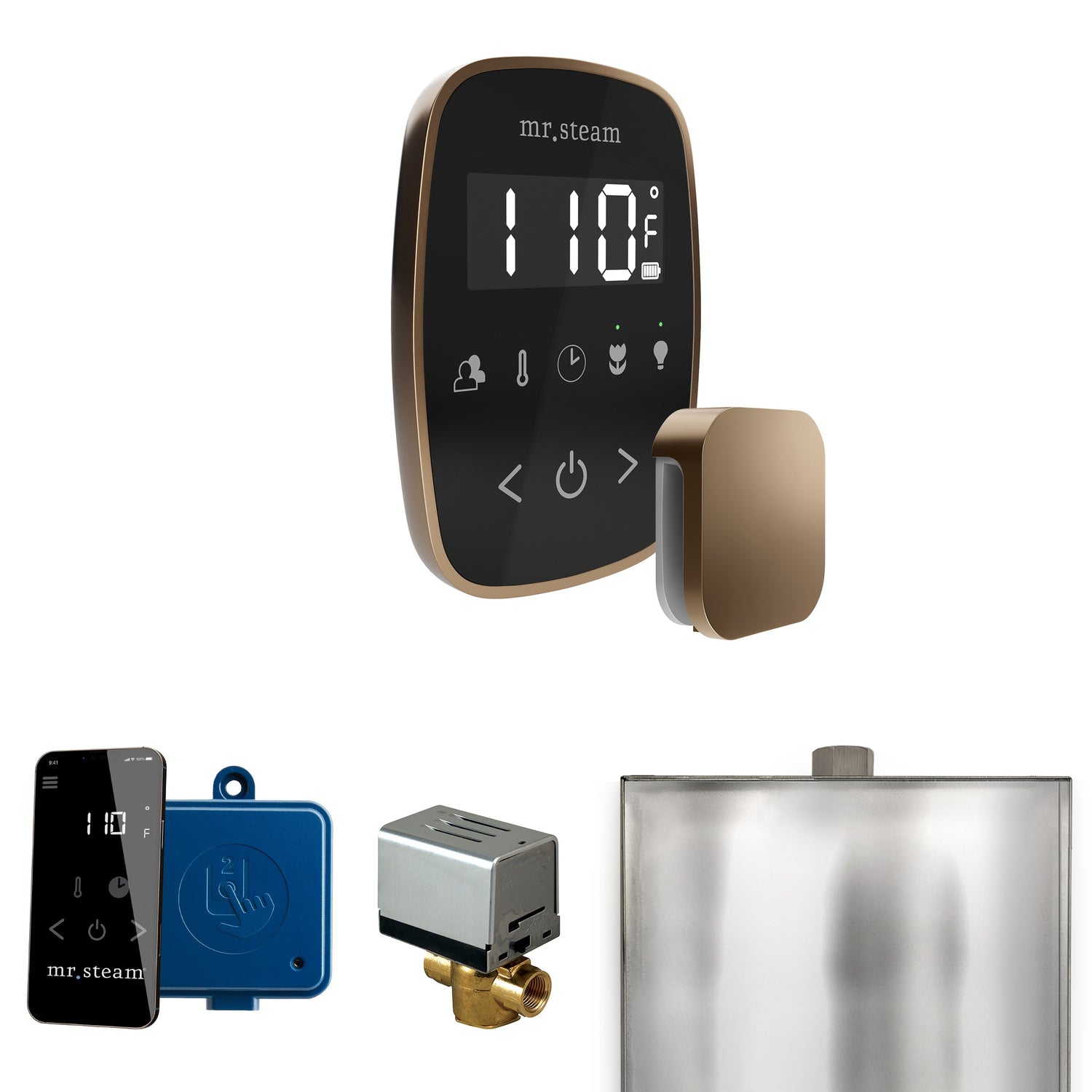 Mr. Steam ButlerFlex Steam Shower Control Package with TempoFlex Control and Steamhead