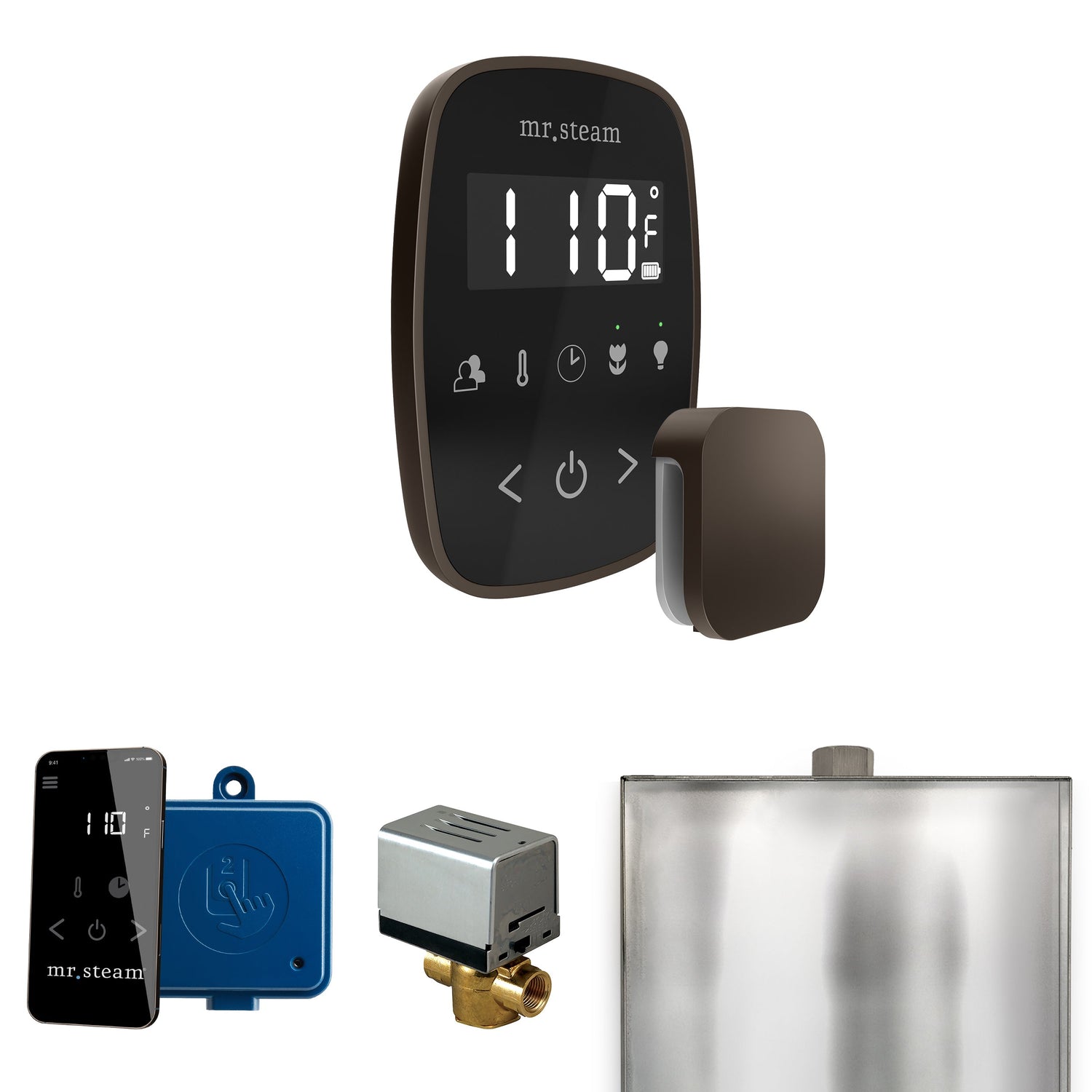 Mr. Steam ButlerFlex Steam Shower Control Package with TempoFlex Control and Steamhead