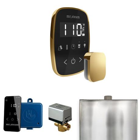 Mr. Steam ButlerFlex Steam Shower Control Package with TempoFlex Control and Steamhead