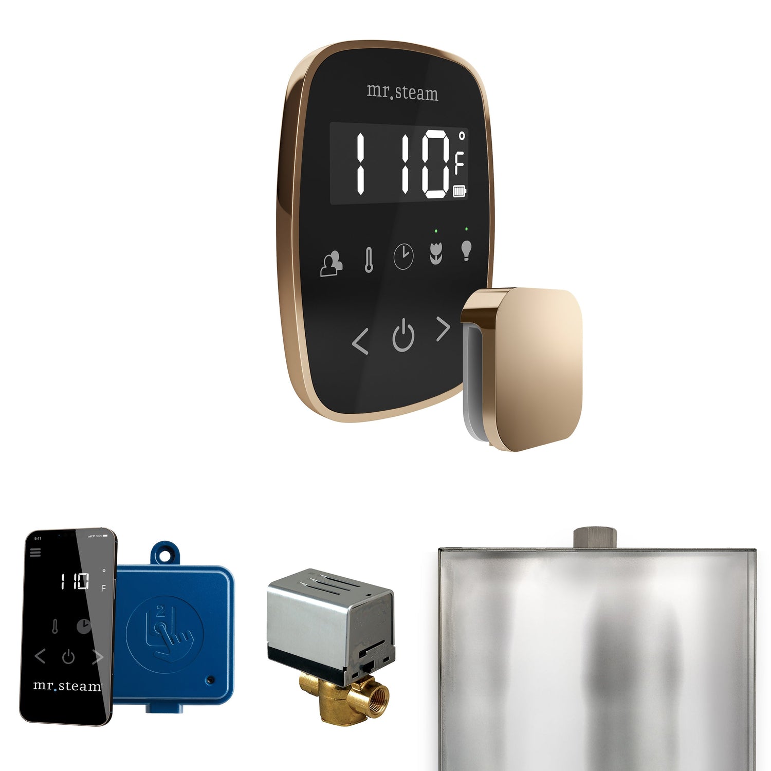 Mr. Steam ButlerFlex Steam Shower Control Package with TempoFlex Control and Steamhead