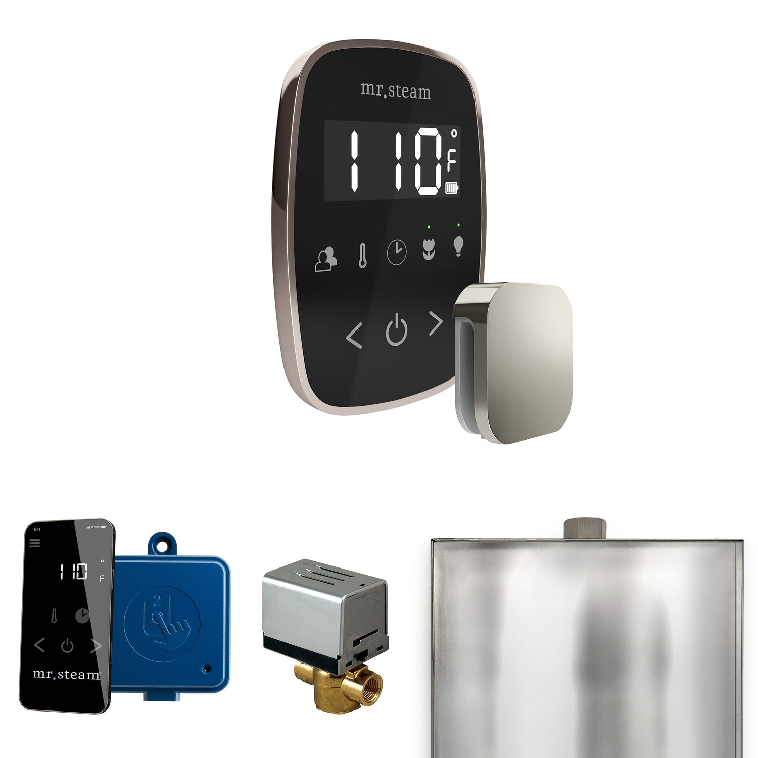Mr. Steam ButlerFlex Steam Shower Control Package with TempoFlex Control and Steamhead