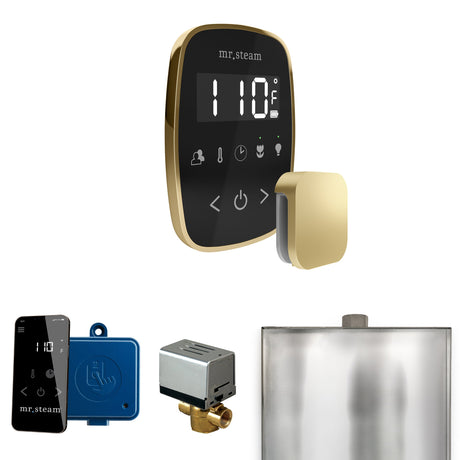 Mr. Steam ButlerFlex Steam Shower Control Package with TempoFlex Control and Steamhead