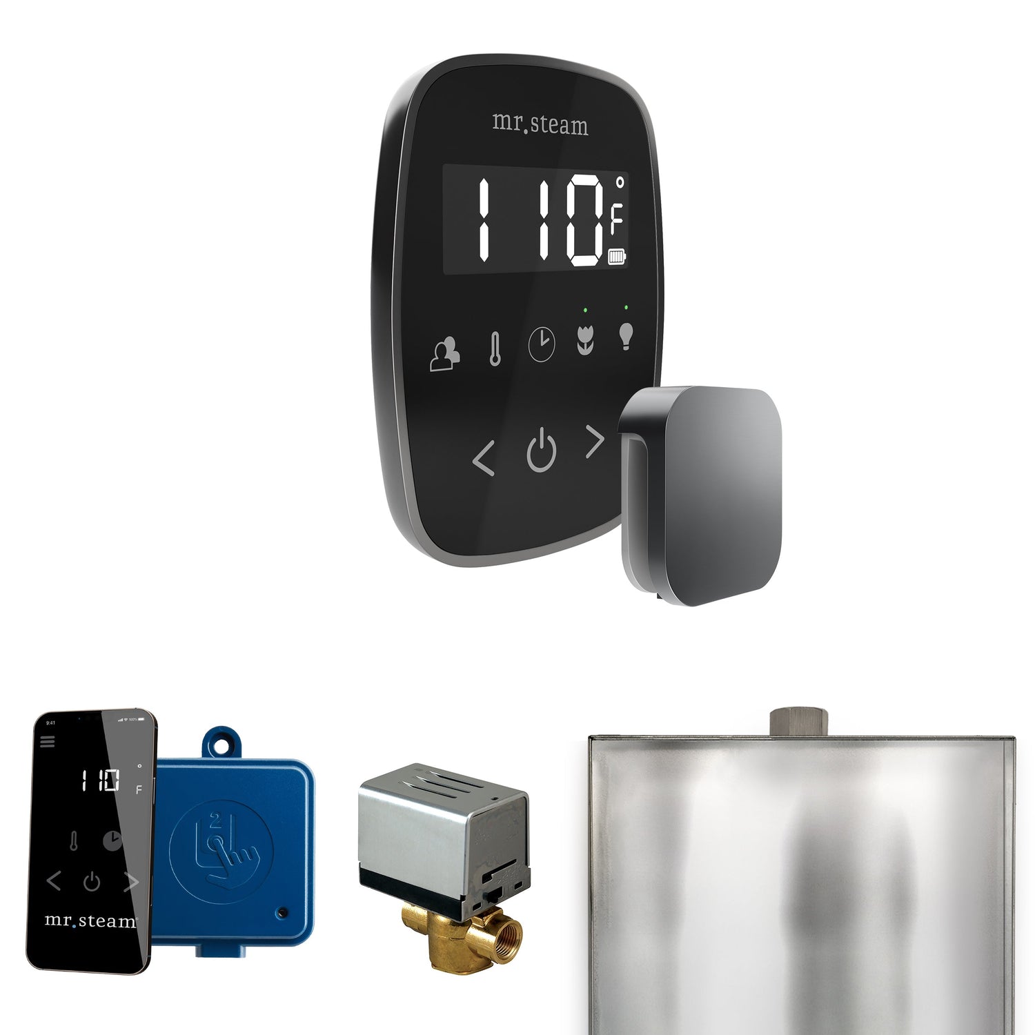 Mr. Steam ButlerFlex Steam Shower Control Package with TempoFlex Control and Steamhead