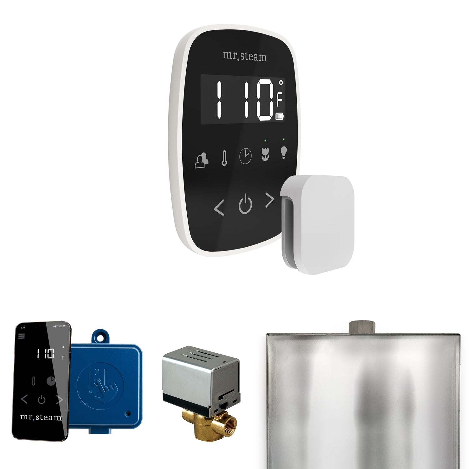Mr. Steam ButlerFlex Steam Shower Control Package with TempoFlex Control and Steamhead