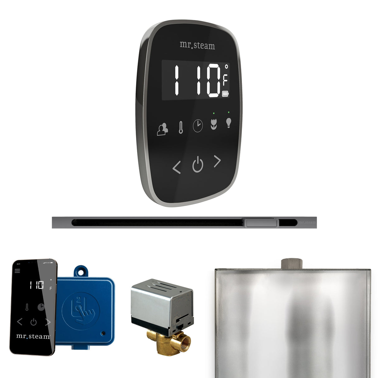 Mr. Steam ButlerFlex Steam Shower Control Package with TempoFlex Control and Linear Steamhead