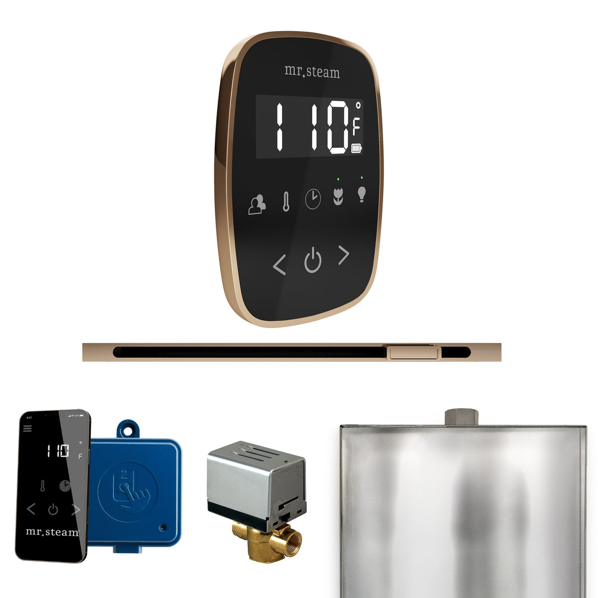 Mr. Steam ButlerFlex Steam Shower Control Package with TempoFlex Control and Linear Steamhead