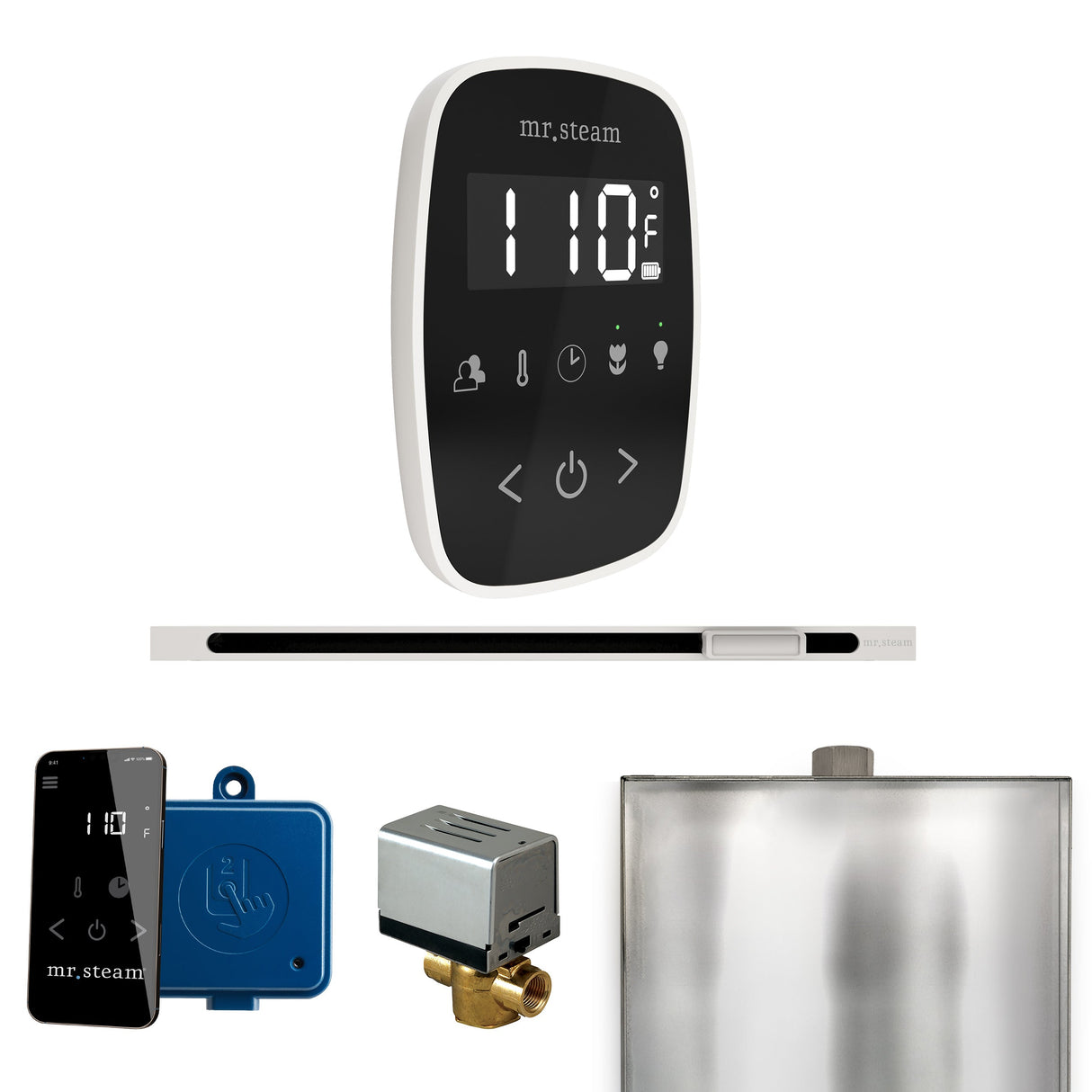 Mr. Steam ButlerFlex Steam Shower Control Package with TempoFlex Control and Linear Steamhead