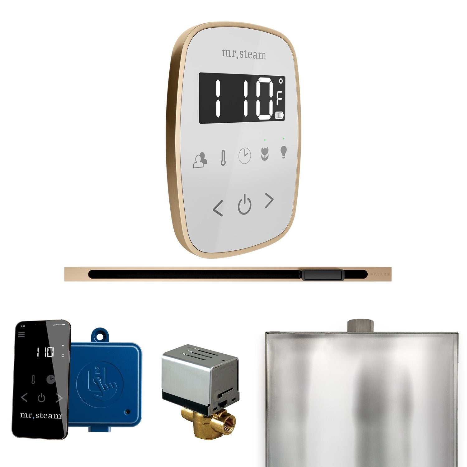 Mr. Steam ButlerFlex Steam Shower Control Package with TempoFlex Control and Linear Steamhead