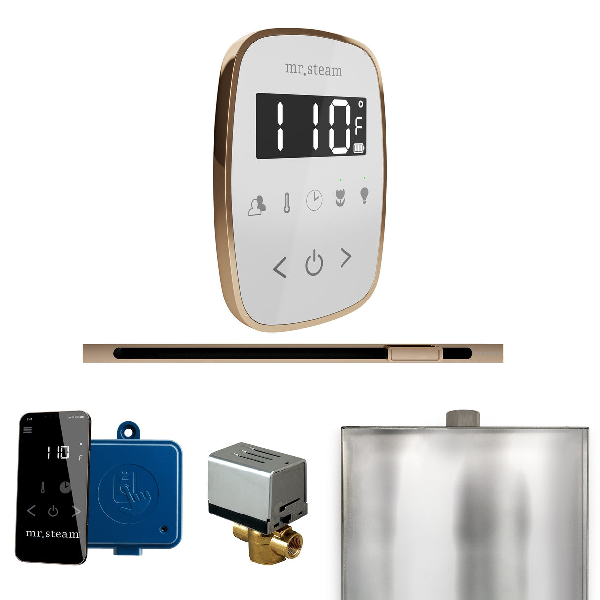 Mr. Steam ButlerFlex Steam Shower Control Package with TempoFlex Control and Linear Steamhead