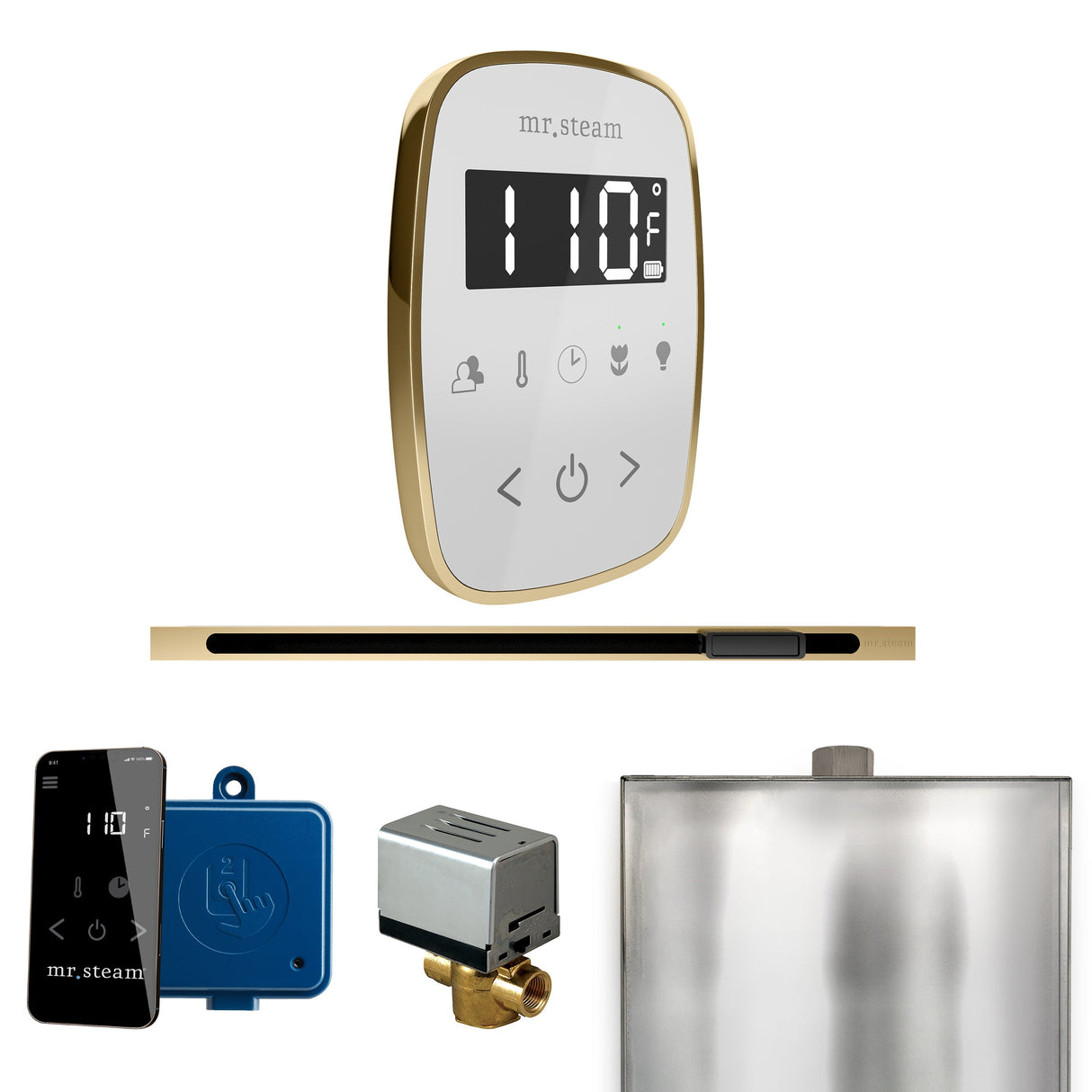 Mr. Steam ButlerFlex Steam Shower Control Package with TempoFlex Control and Linear Steamhead