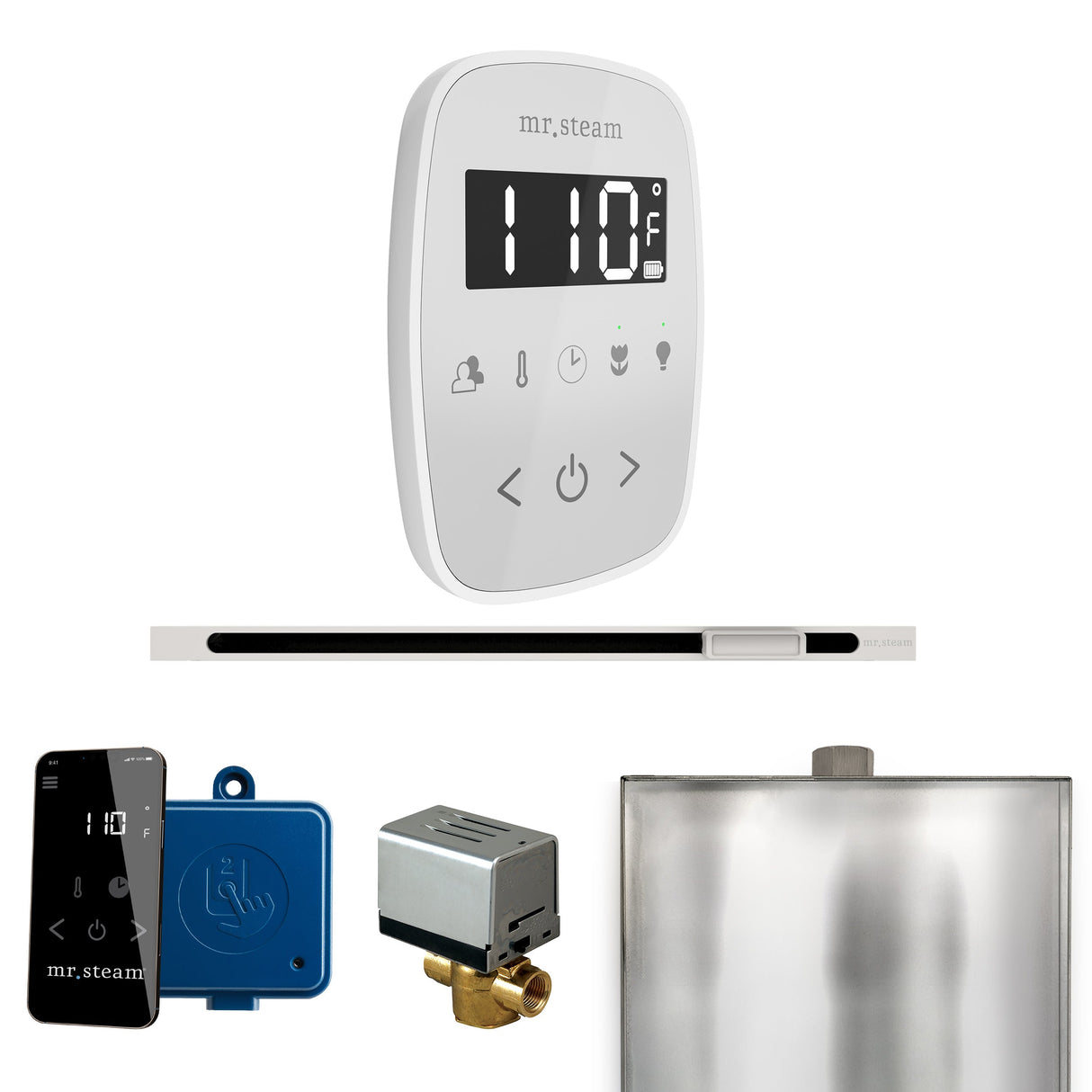 Mr. Steam ButlerFlex Steam Shower Control Package with TempoFlex Control and Linear Steamhead