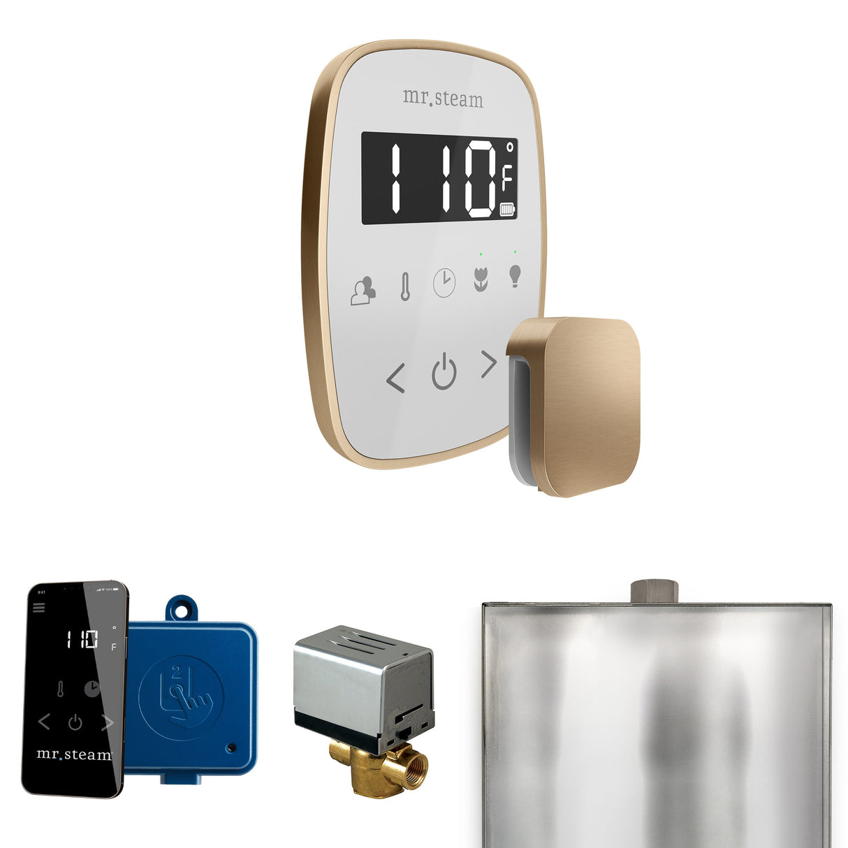 Mr. Steam ButlerFlex Steam Shower Control Package with TempoFlex Control and Steamhead
