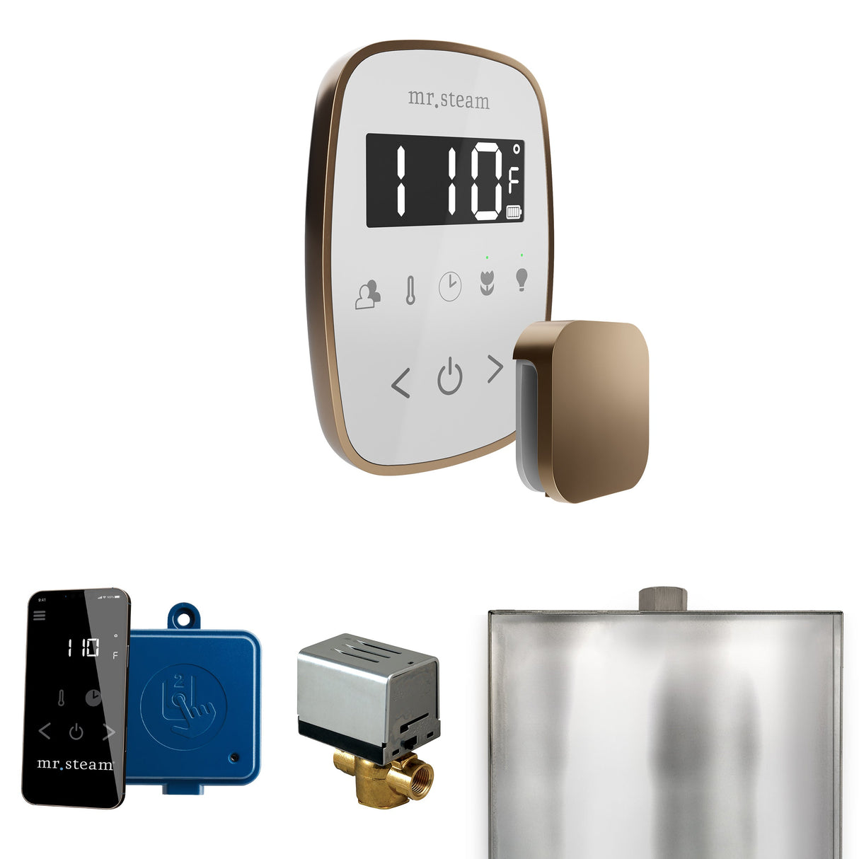 Mr. Steam ButlerFlex Steam Shower Control Package with TempoFlex Control and Steamhead