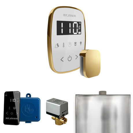 Mr. Steam ButlerFlex Steam Shower Control Package with TempoFlex Control and Steamhead