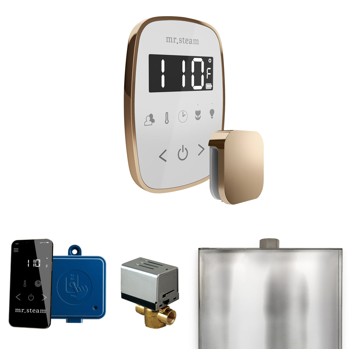 Mr. Steam ButlerFlex Steam Shower Control Package with TempoFlex Control and Steamhead