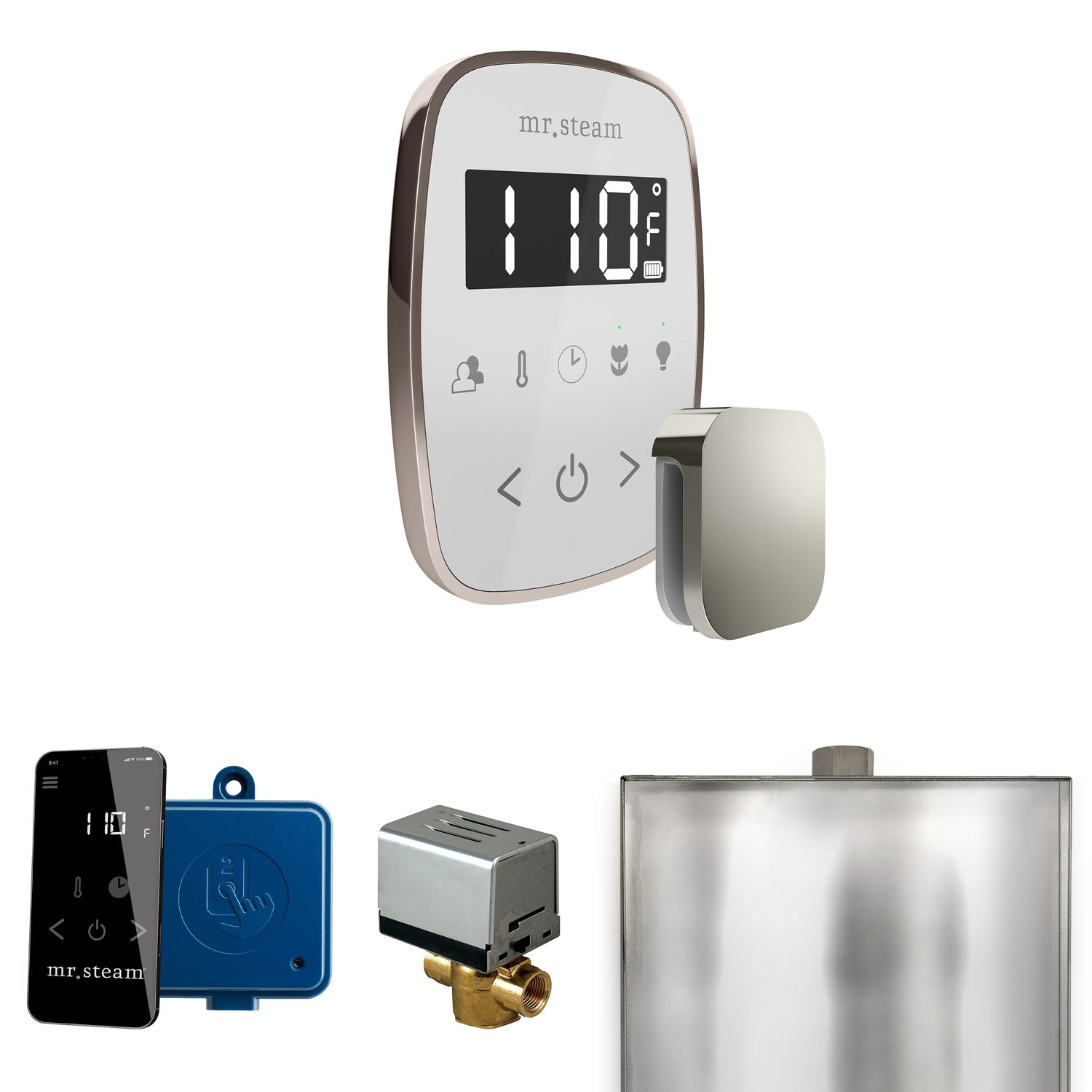 Mr. Steam ButlerFlex Steam Shower Control Package with TempoFlex Control and Steamhead