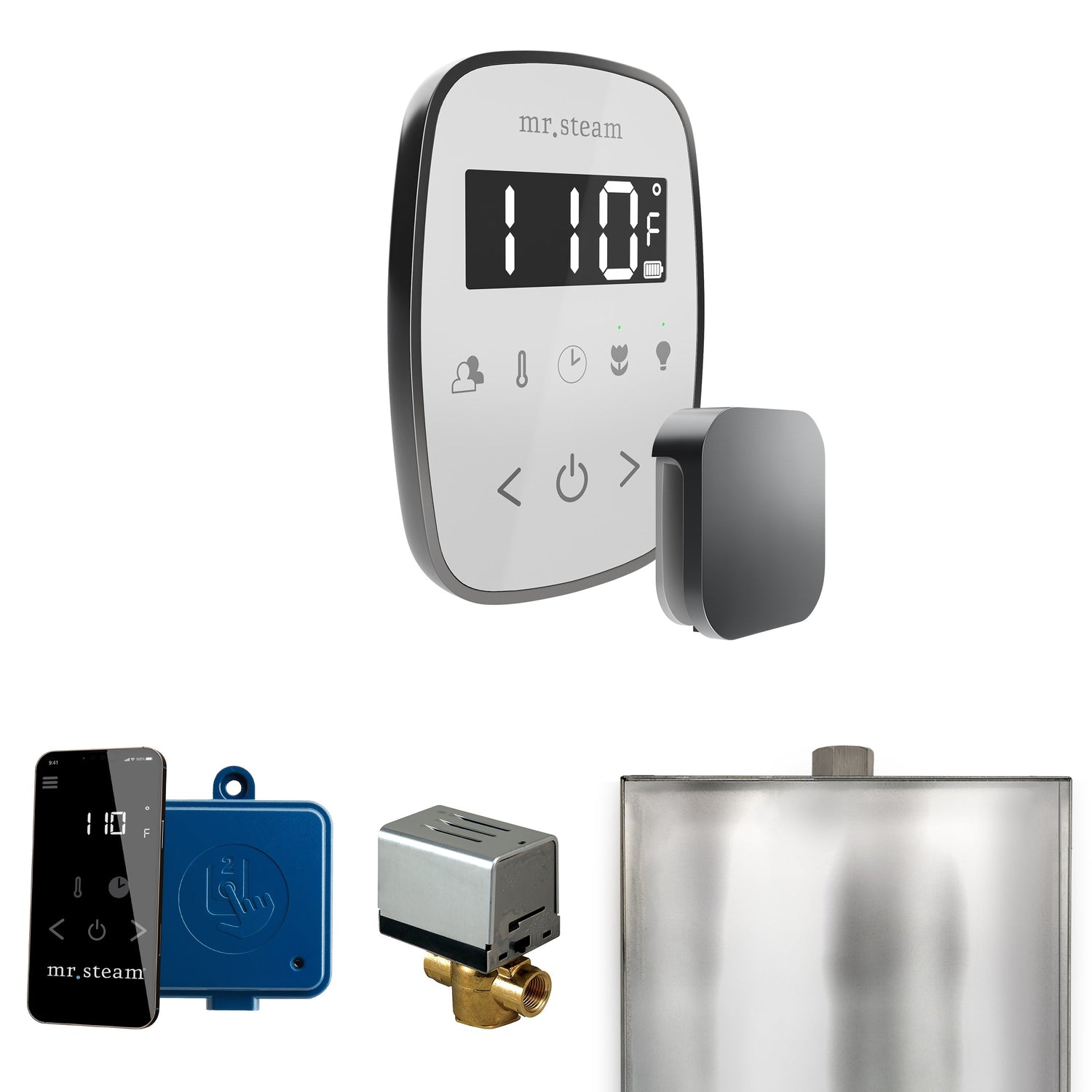 Mr. Steam ButlerFlex Steam Shower Control Package with TempoFlex Control and Steamhead