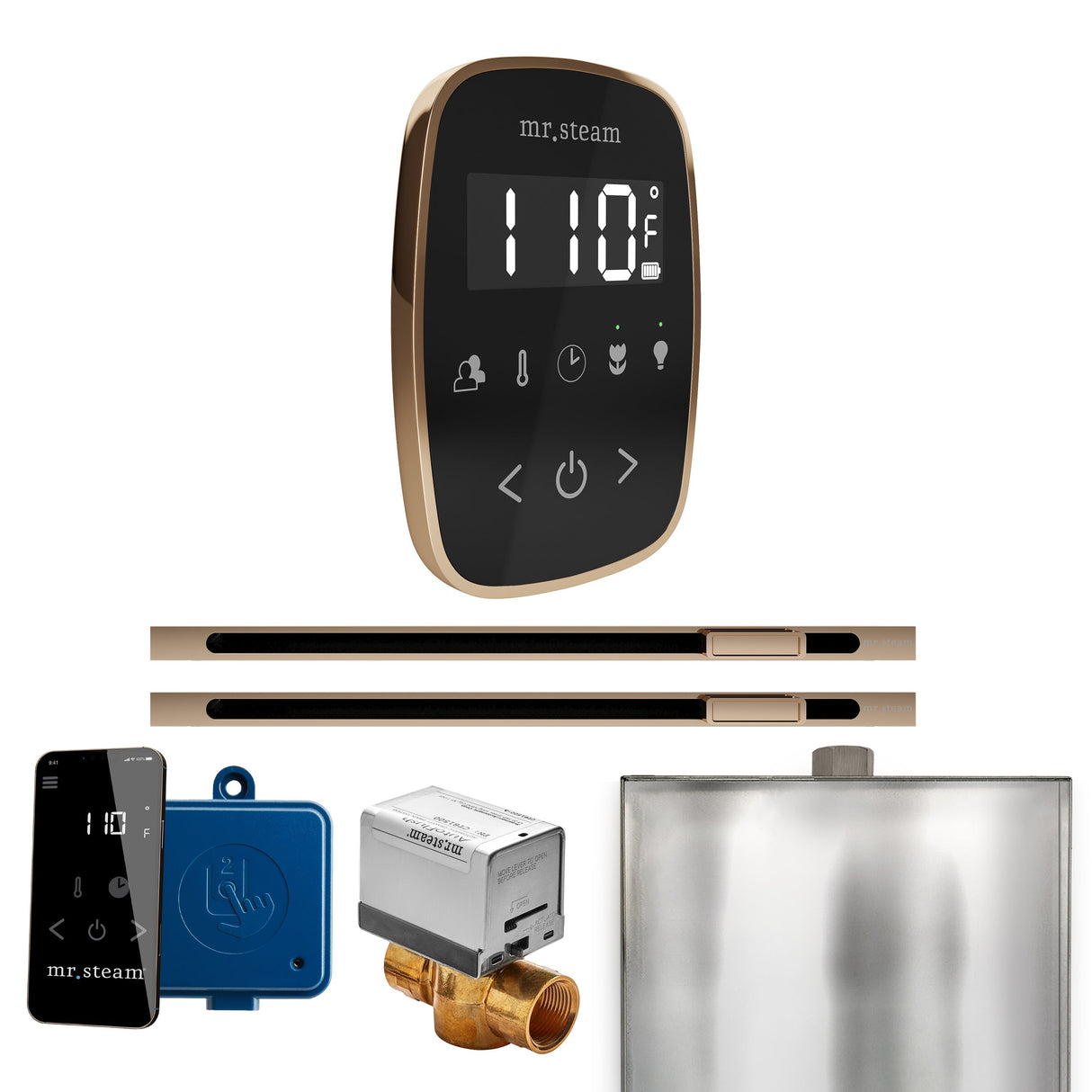 Mr. Steam ButlerFlex Max Steam Shower Control Package with TempoFlex Control and Linear Steamhead