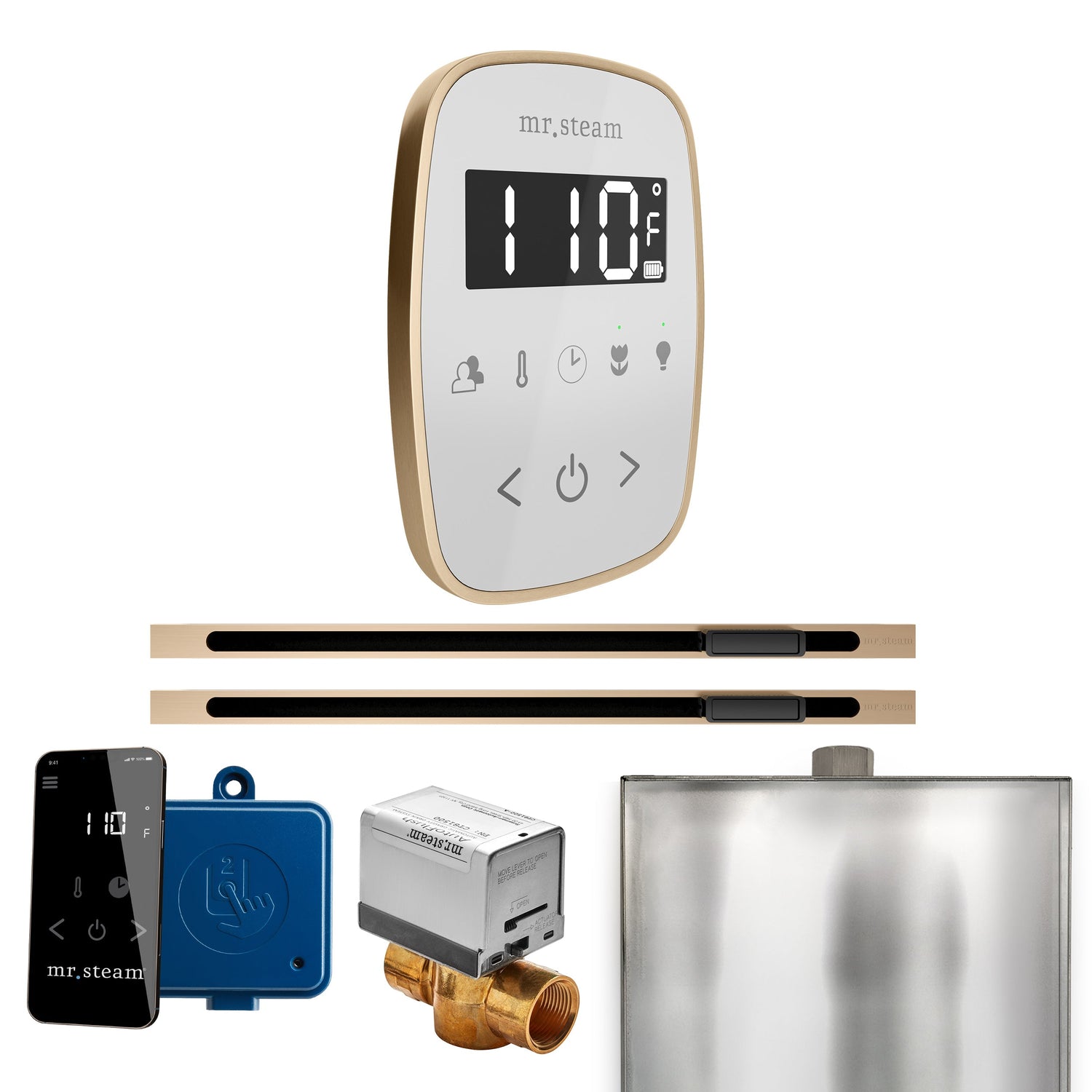 Mr. Steam ButlerFlex Max Steam Shower Control Package with TempoFlex Control and Linear Steamhead