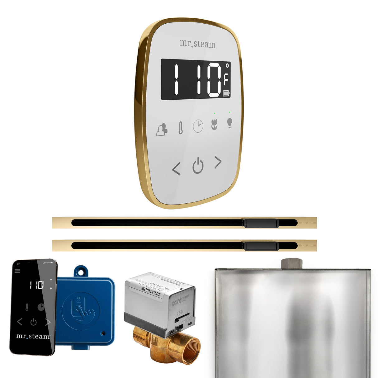 Mr. Steam ButlerFlex Max Steam Shower Control Package with TempoFlex Control and Linear Steamhead