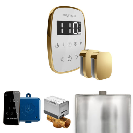 Mr. Steam ButlerFlex Max Steam Shower Control Package with TempoFlex Control and Steamhead