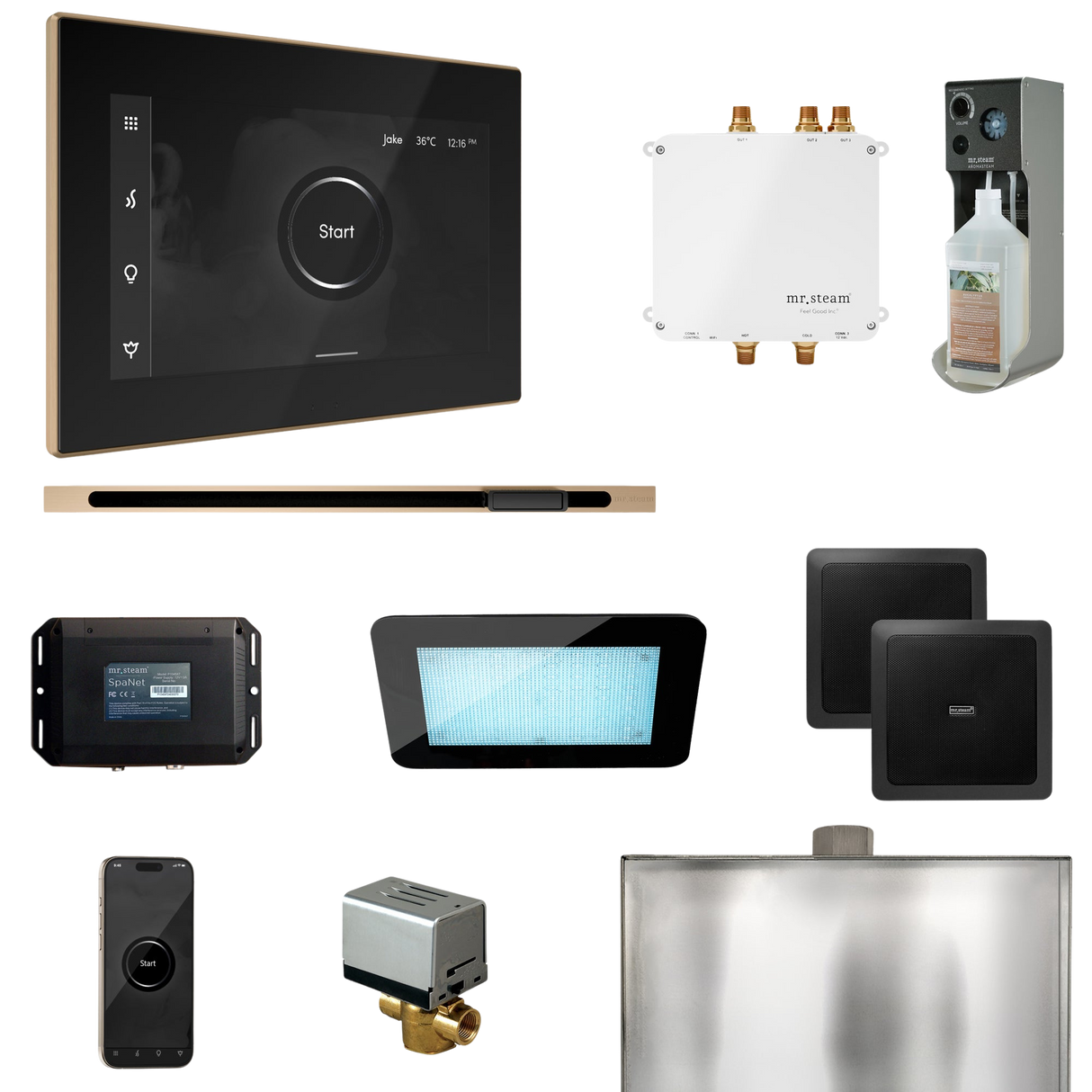 Mr. Steam Bliss Steam Shower Control Package with iSteamX Control and Linear Steamhead