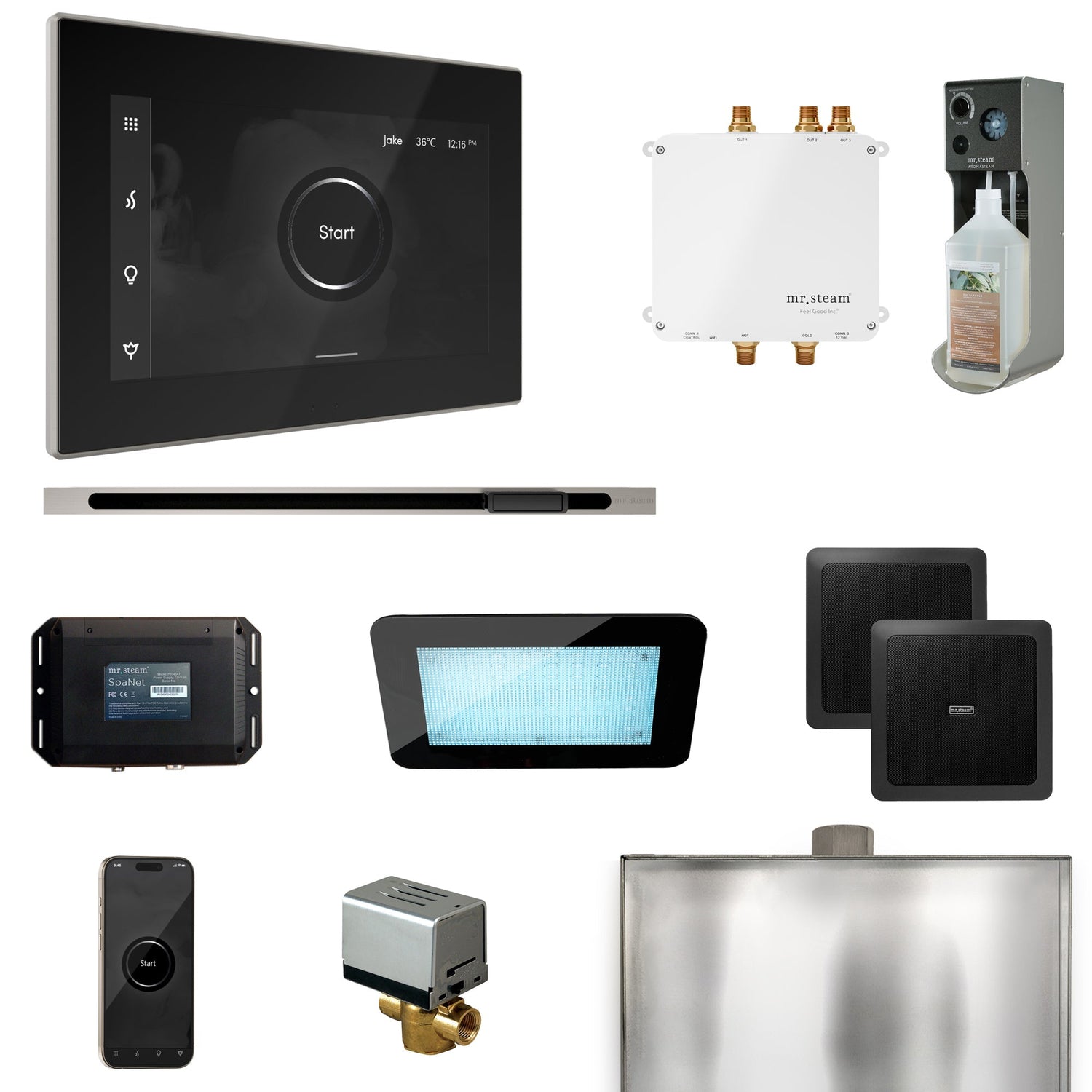 Mr. Steam Bliss Steam Shower Control Package with iSteamX Control and Linear Steamhead