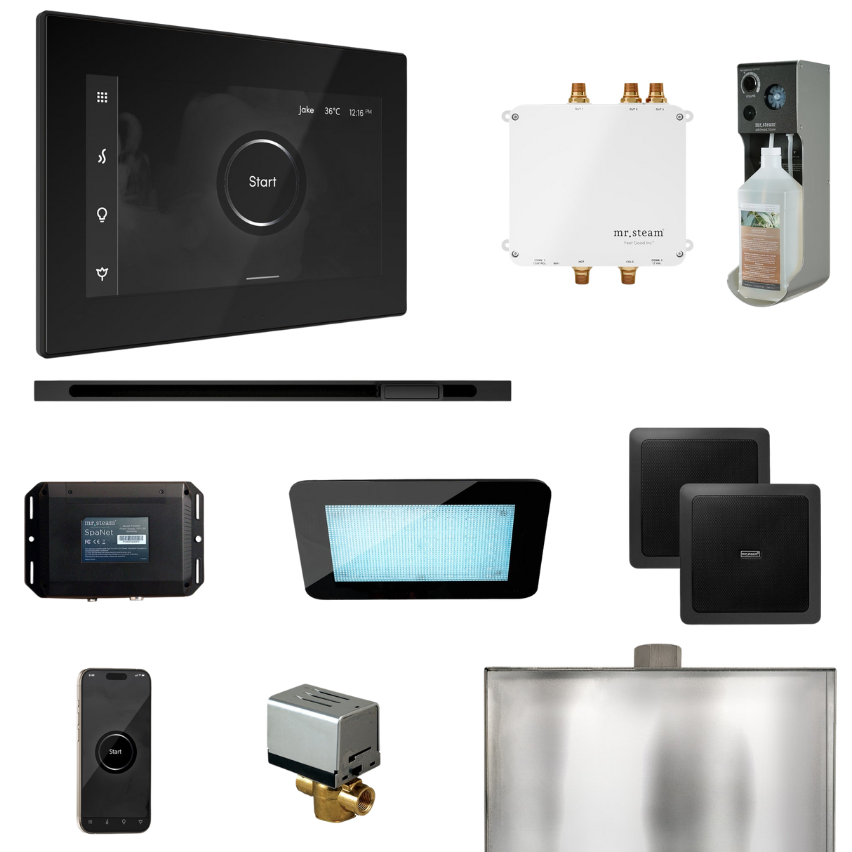 Mr. Steam Bliss Steam Shower Control Package with iSteamX Control and Linear Steamhead